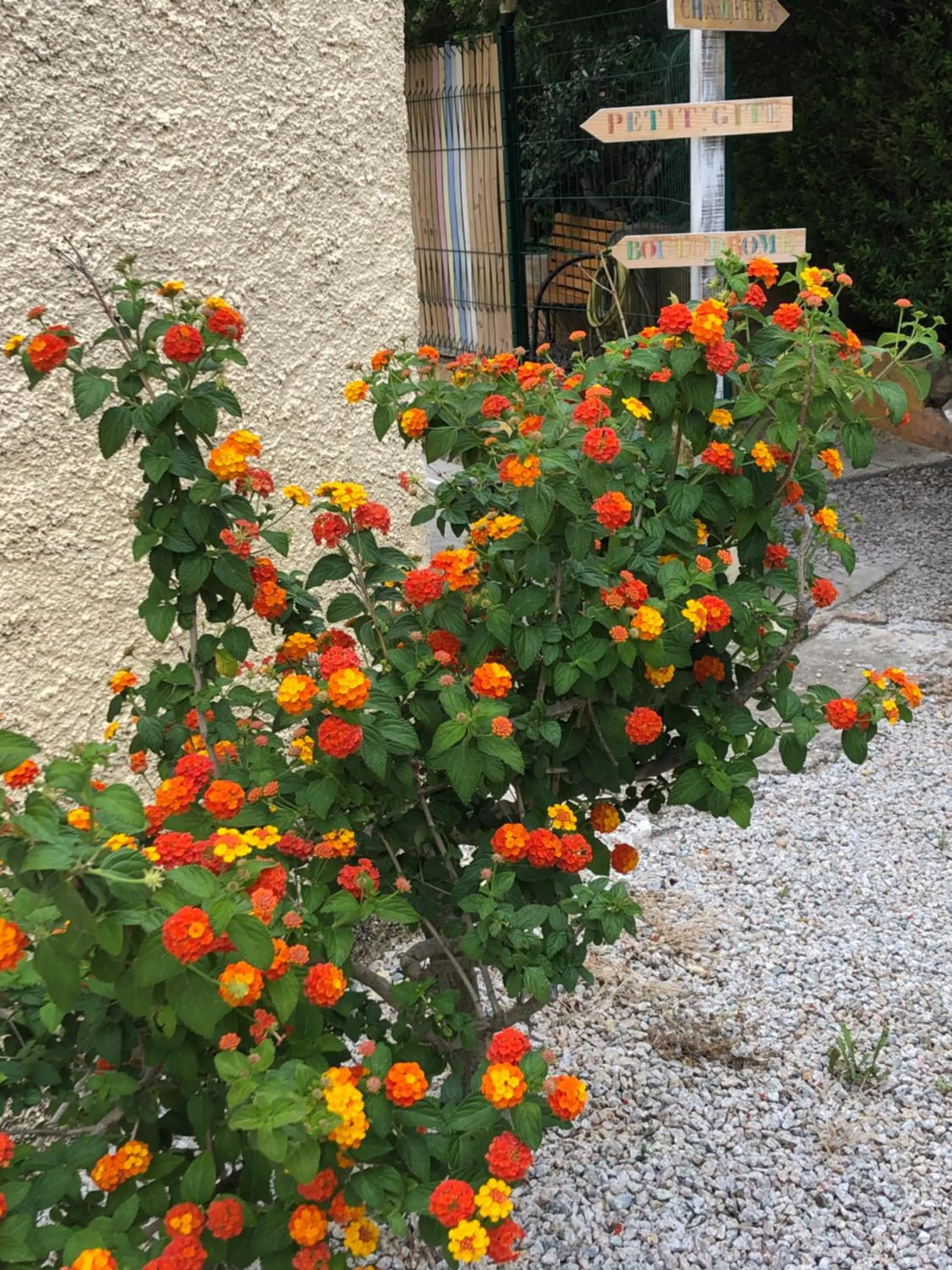 Garden in Casa di Floumy