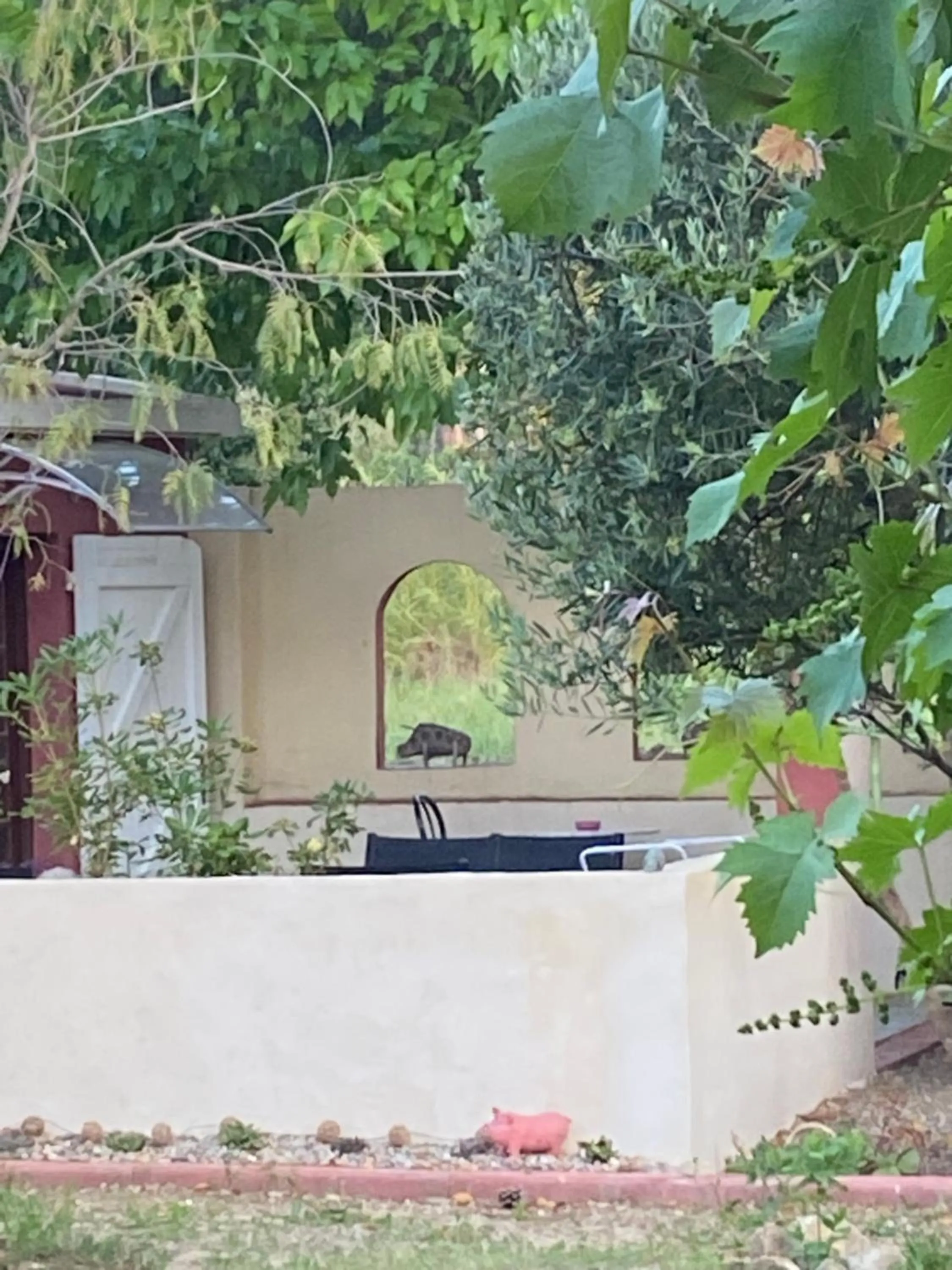 Garden view in Casa di Floumy