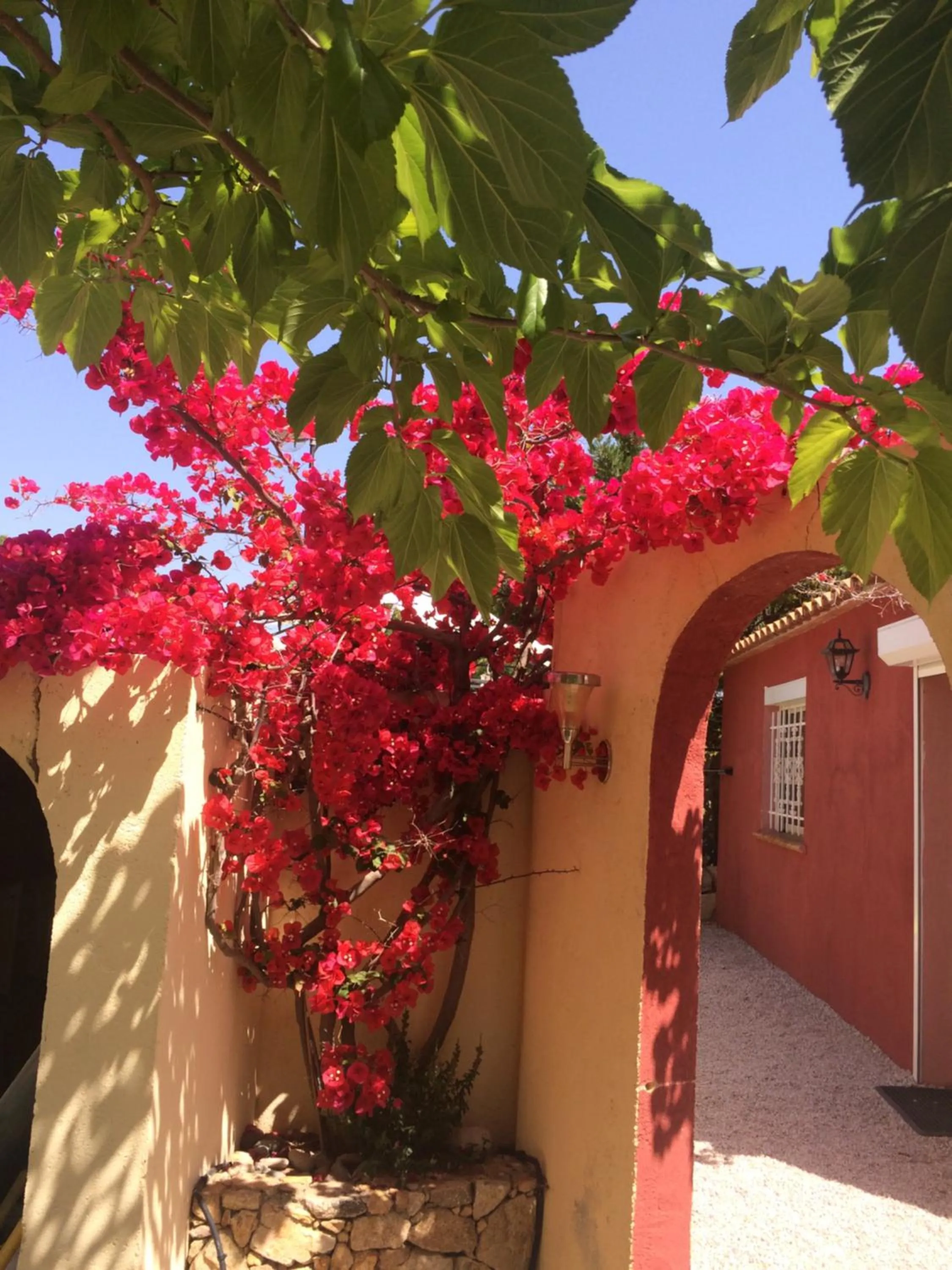 Facade/entrance in Casa di Floumy