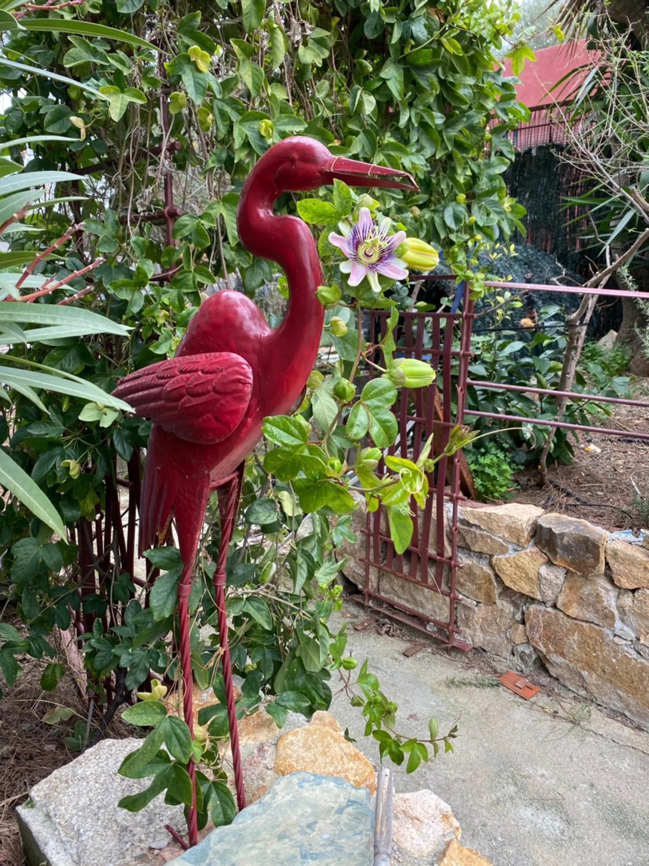 Garden view in Casa di Floumy