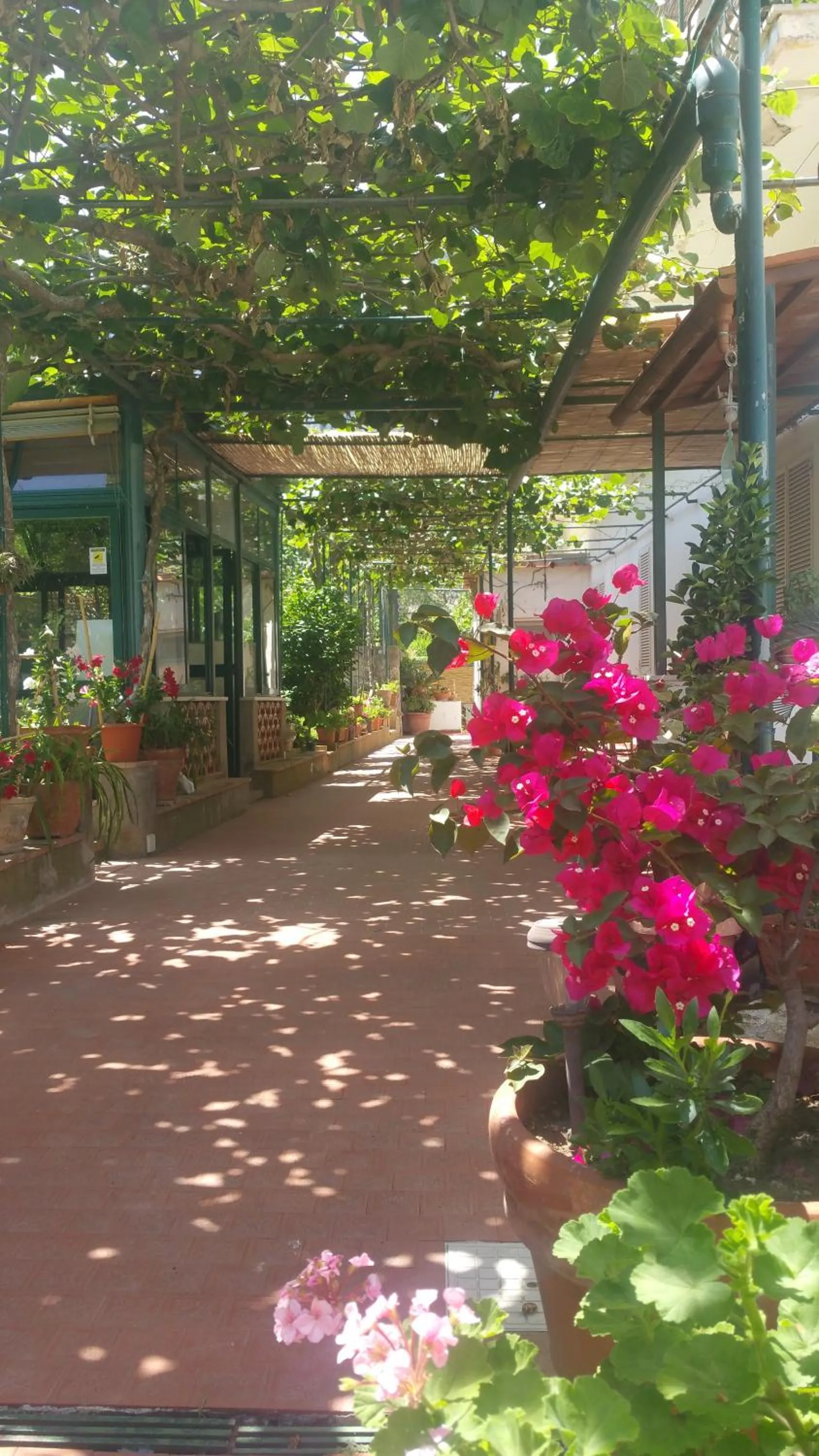 Villa dei fiori B&B