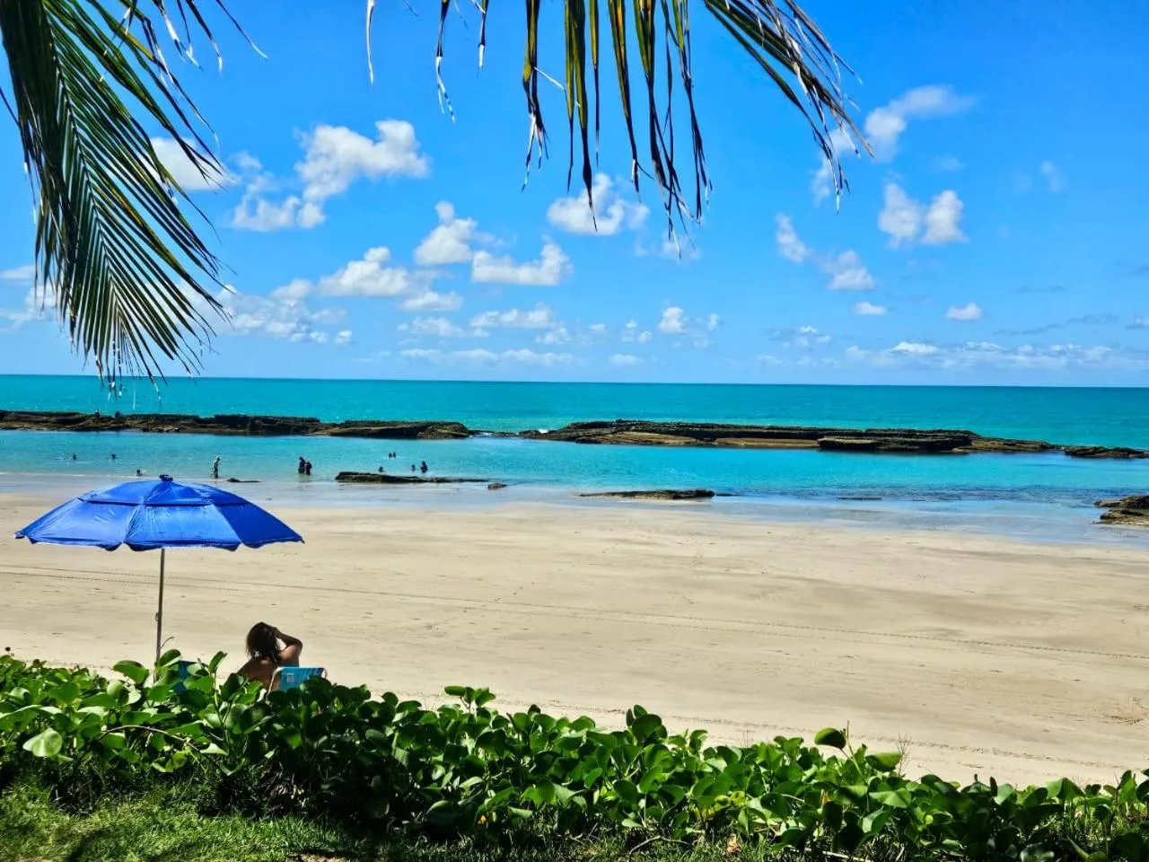 Natural landscape in Apartamentos Hotel Marinas