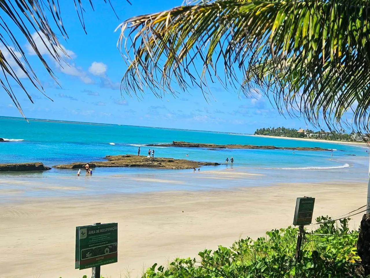 Natural landscape in Apartamentos Hotel Marinas