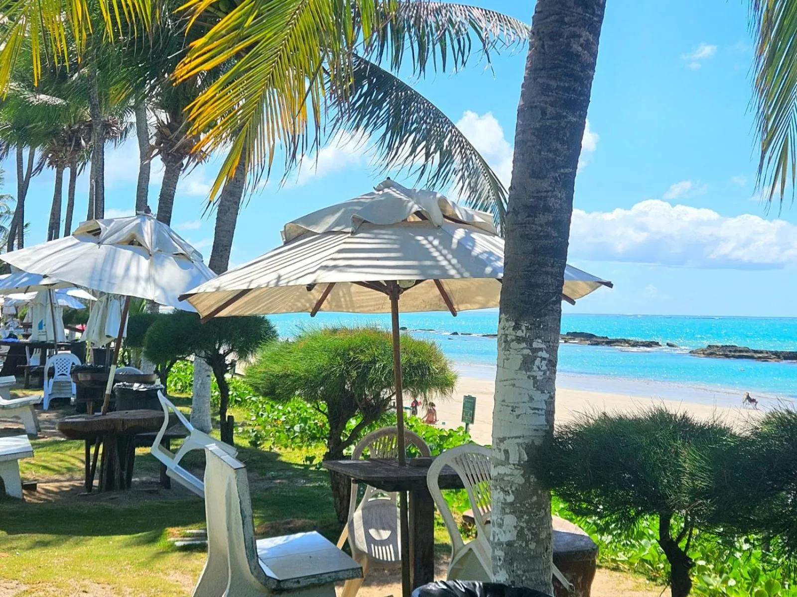 Natural landscape in Apartamentos Hotel Marinas