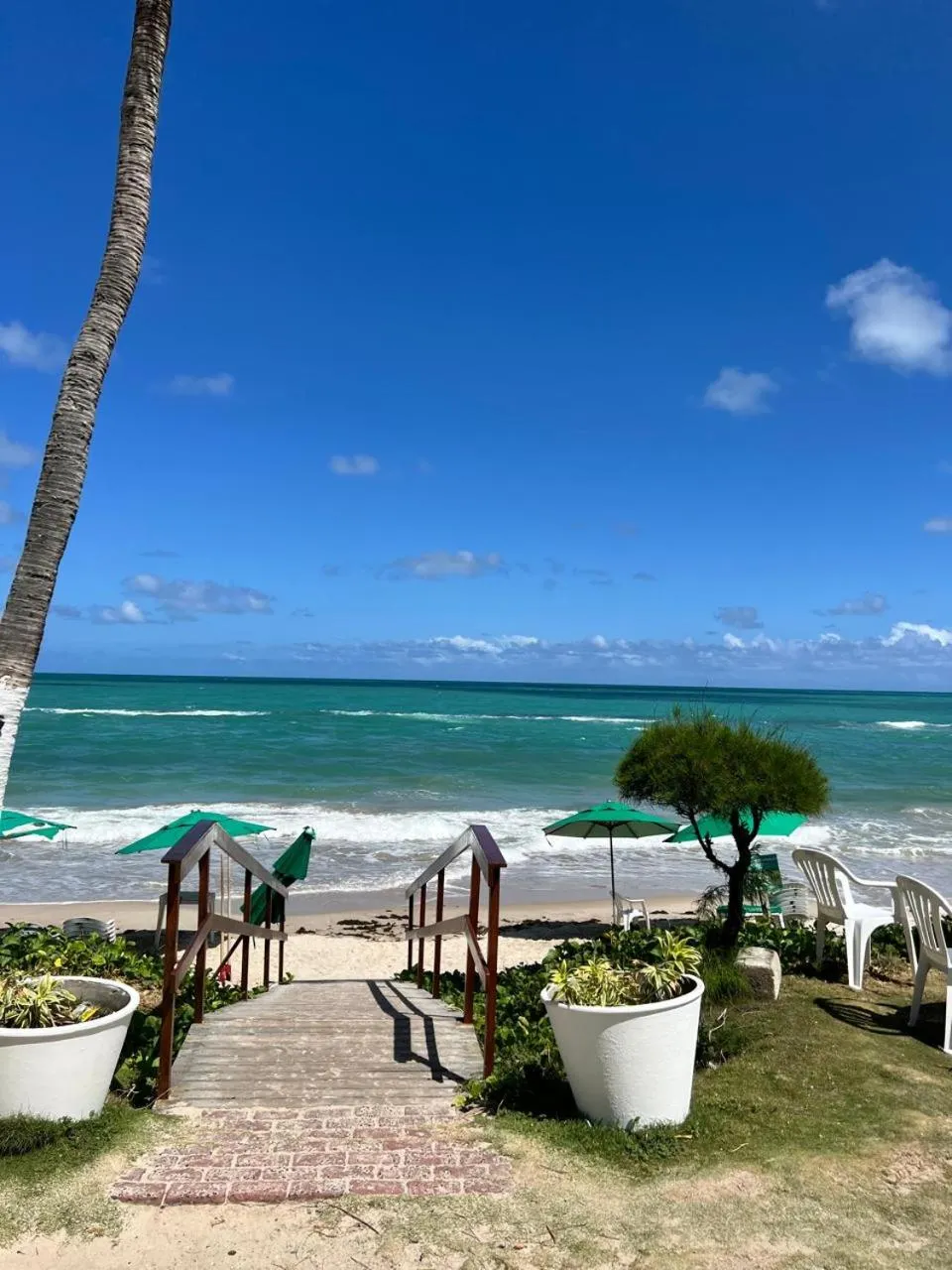 Natural landscape in Apartamentos Hotel Marinas