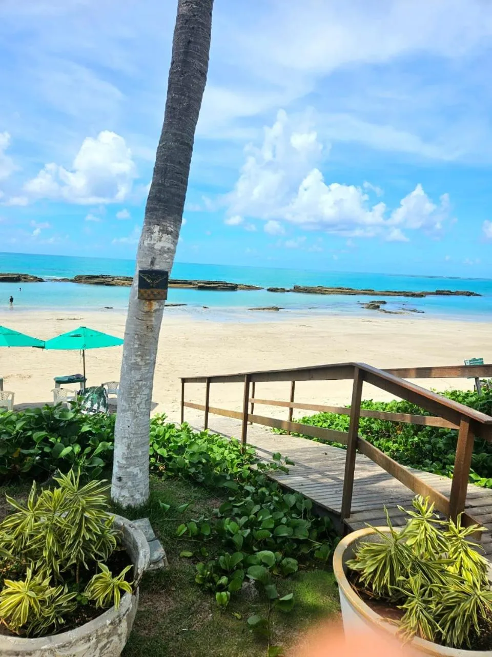 Natural landscape in Apartamentos Hotel Marinas