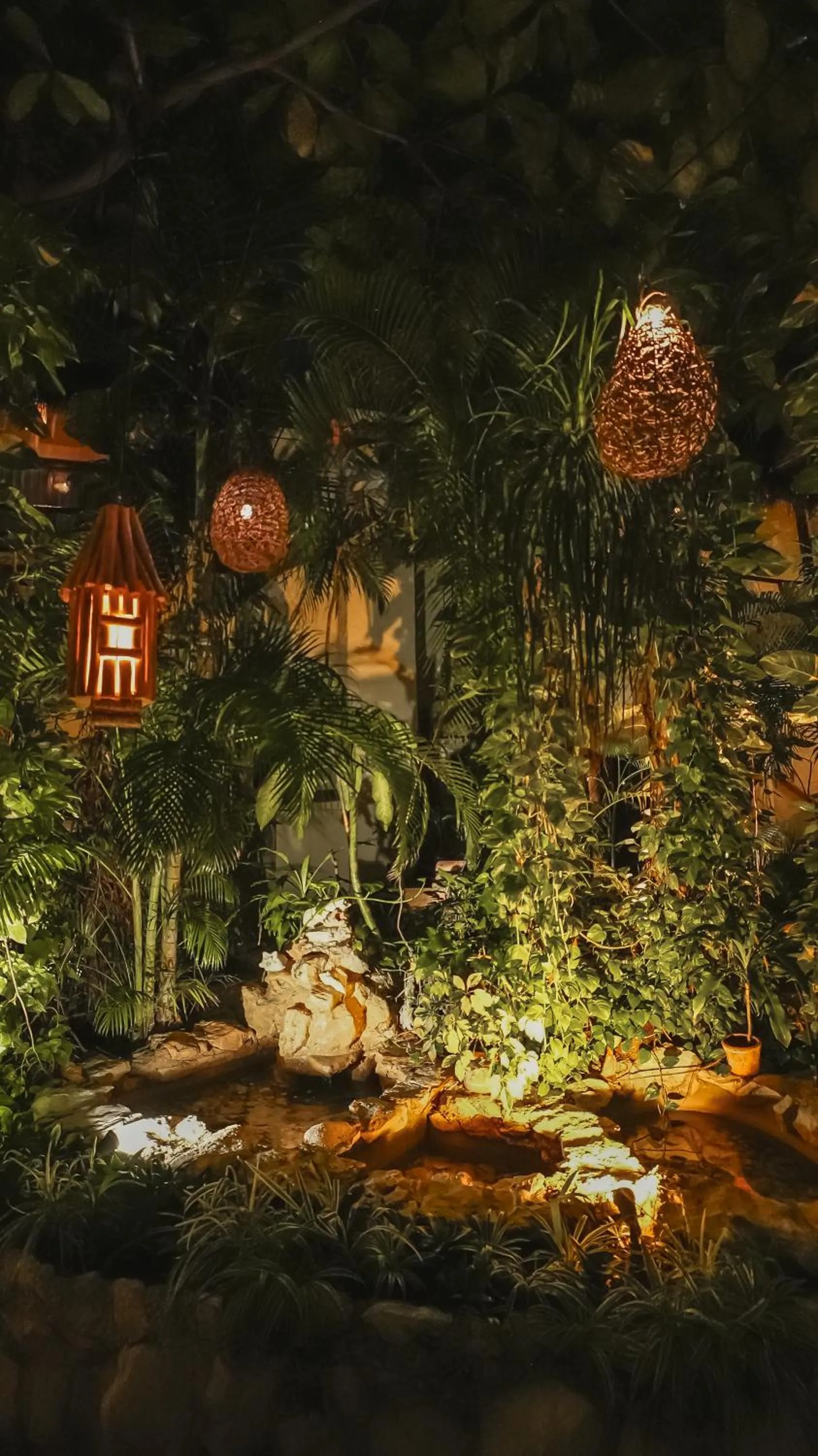 Garden in Hotel Casa Colibri