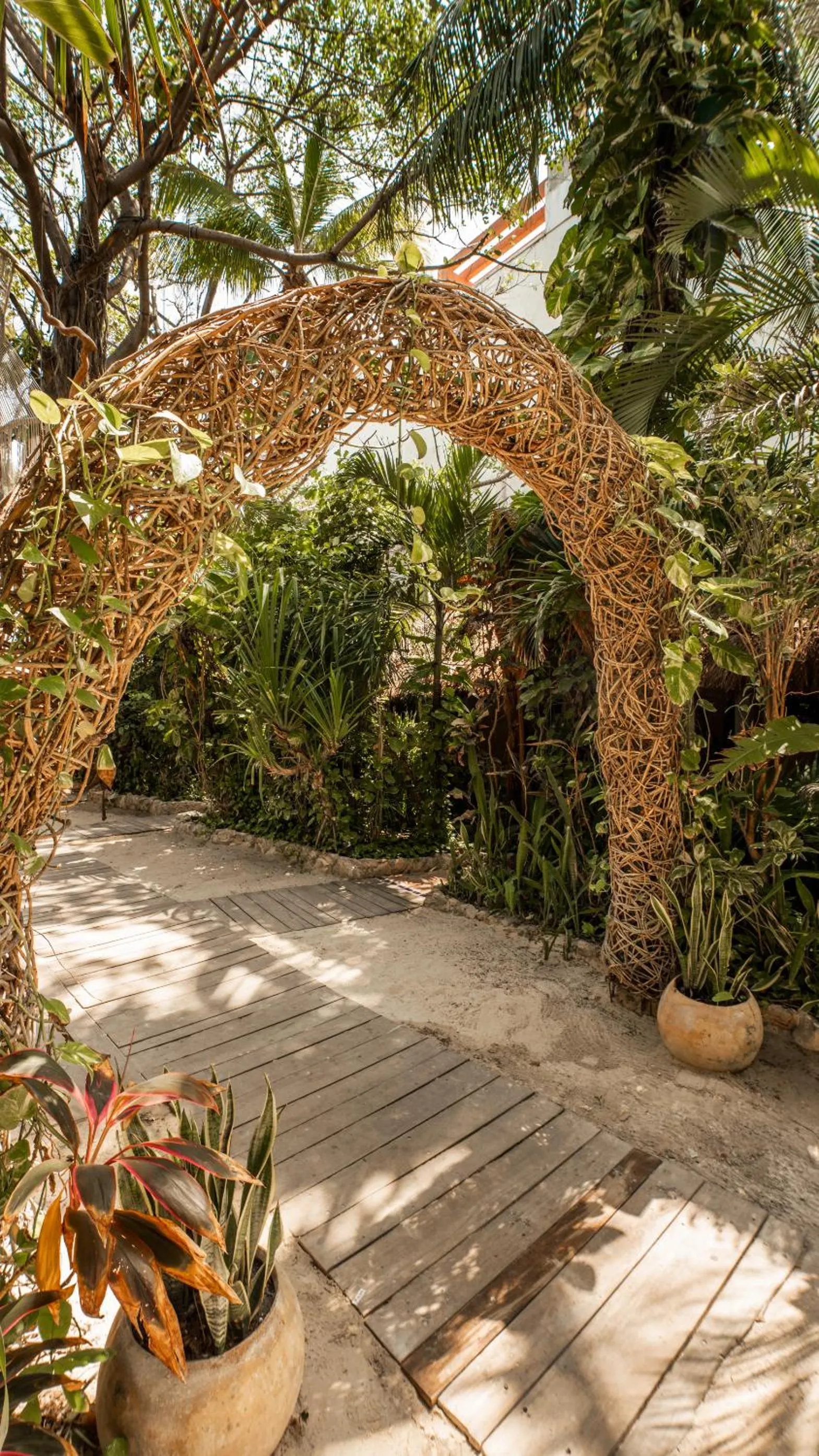 Garden view in Hotel Casa Colibri