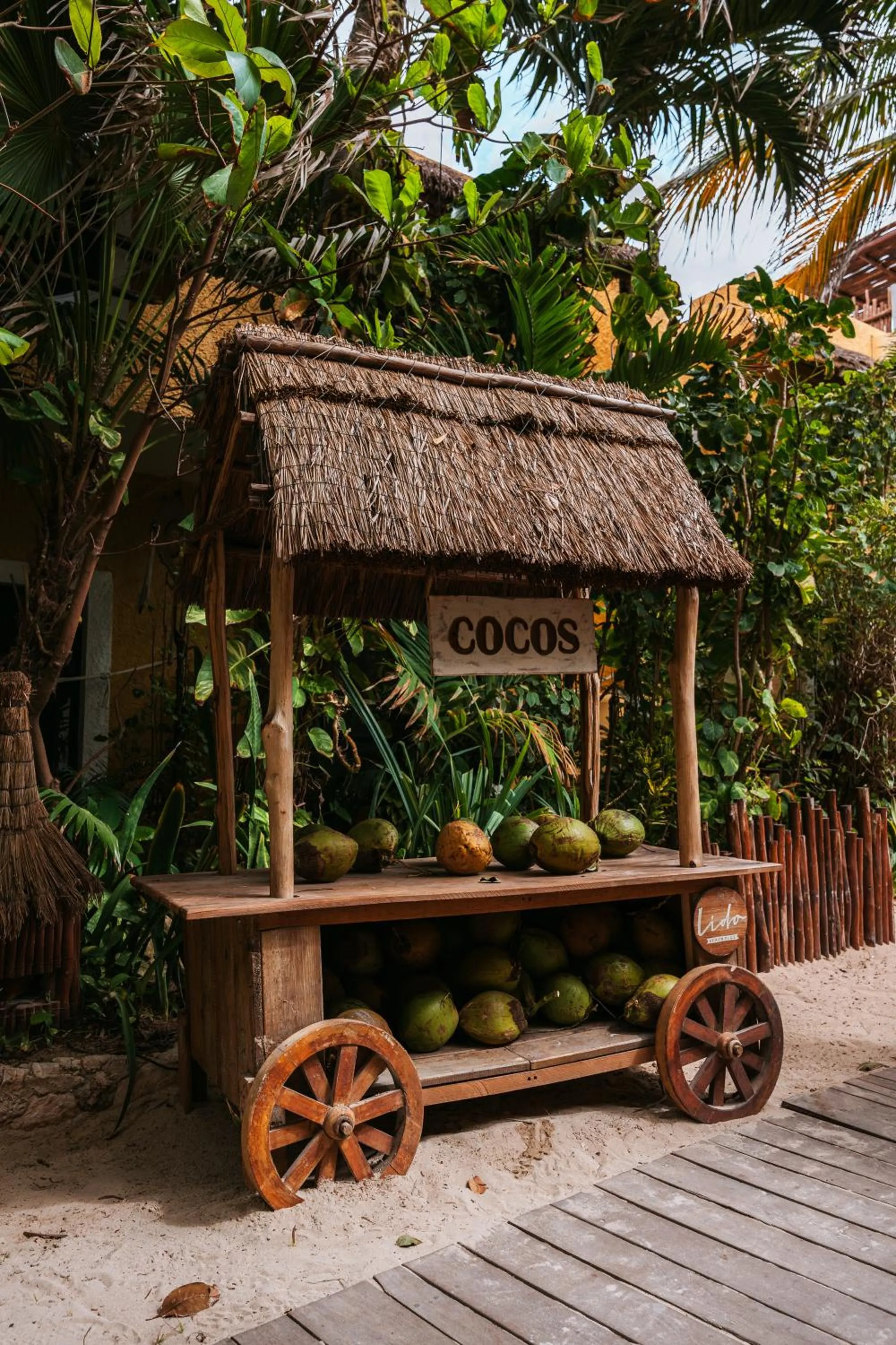 Garden in Hotel Casa Colibri