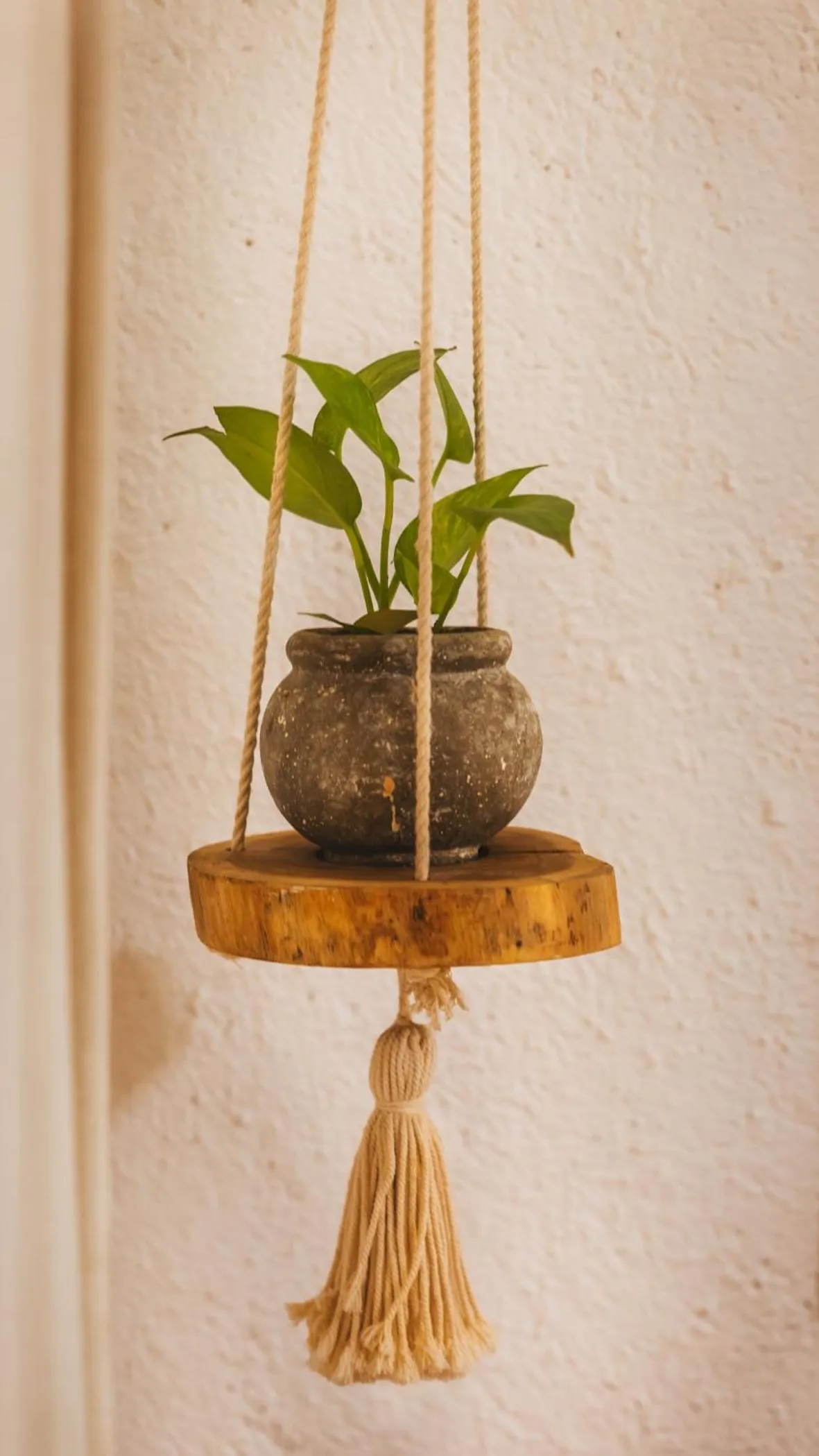 Decorative detail in Hotel Casa Colibri