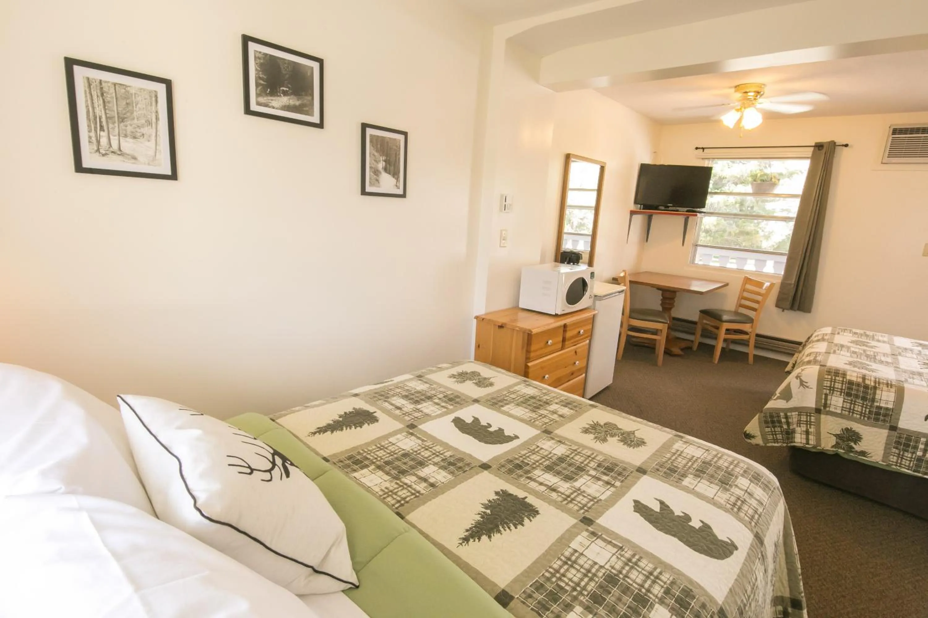 Photo of the whole room, Bed in Mountain Springs Motel