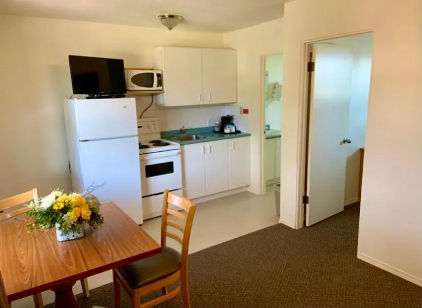 Kitchen or kitchenette in Mountain Springs Motel
