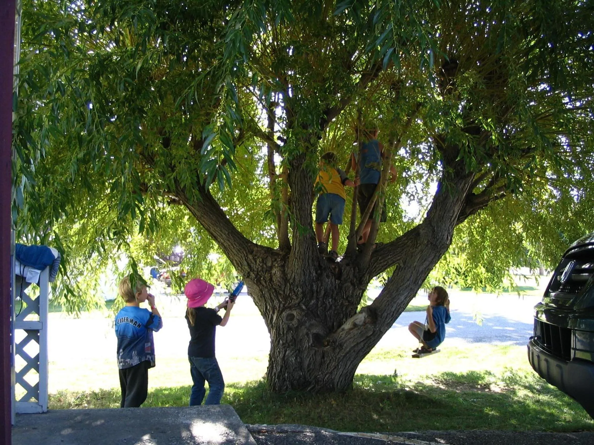 People in Mountain Springs Motel