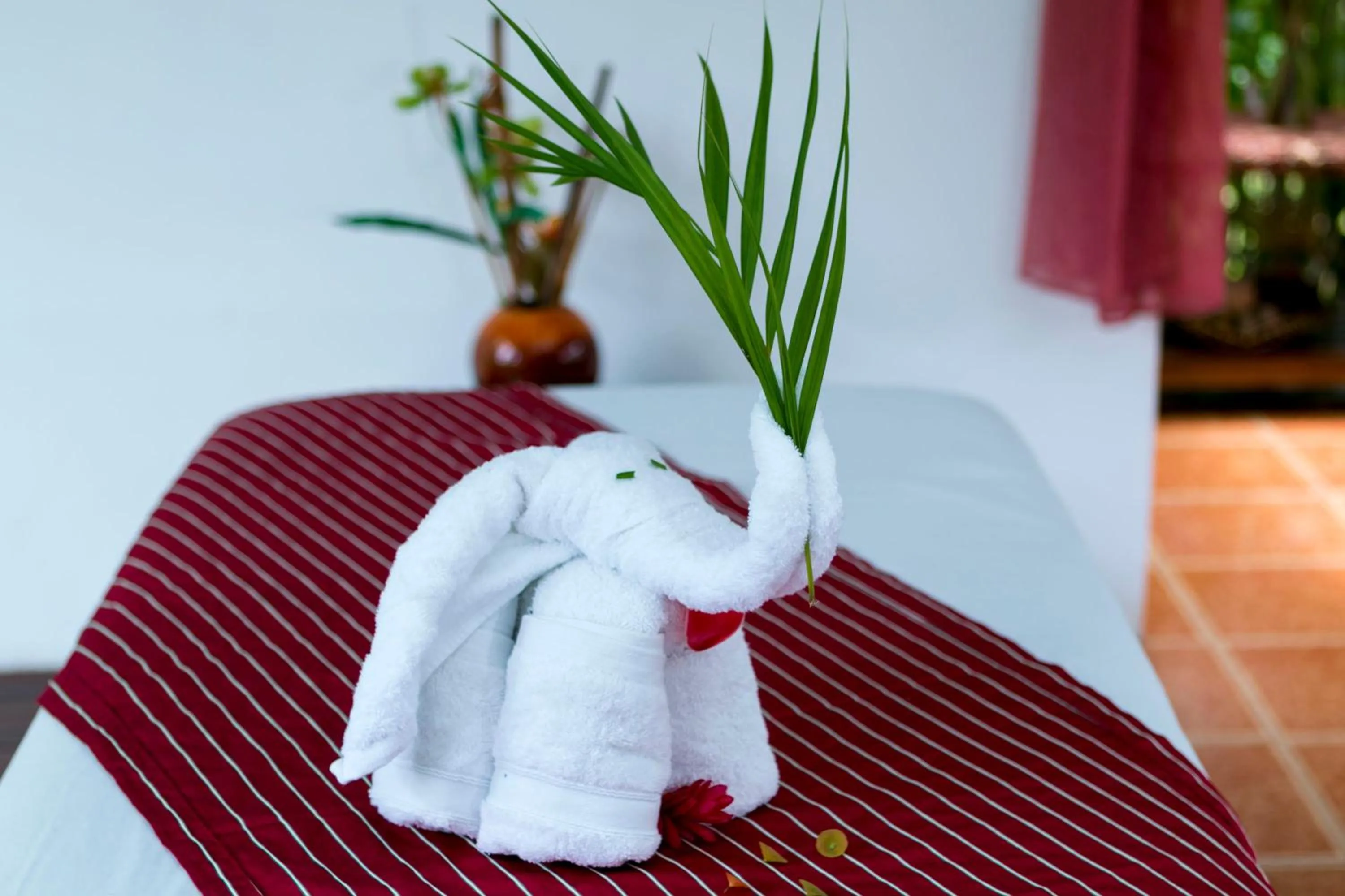 Massage in Hotel Mountain Paradise