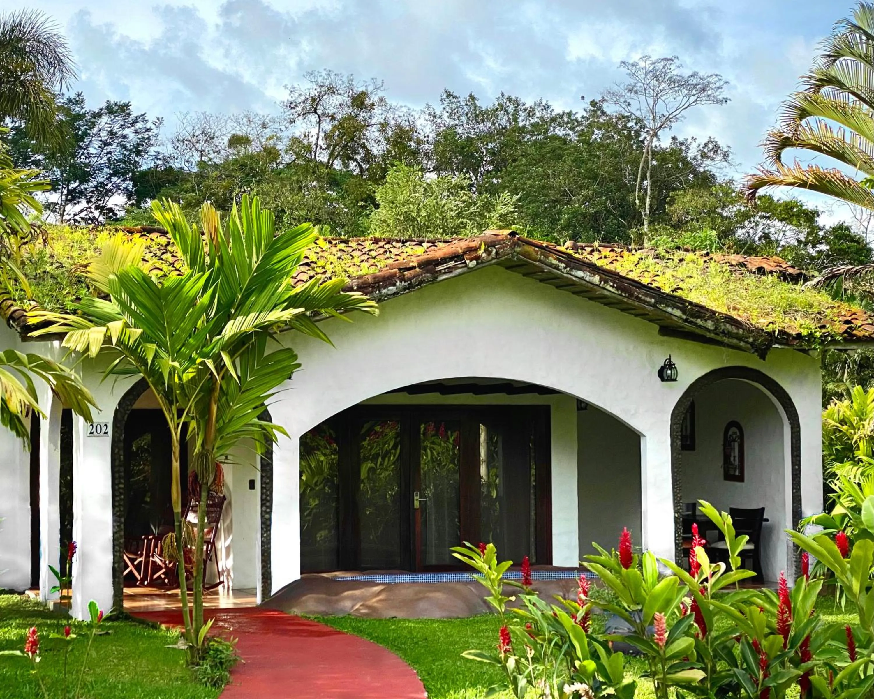 View (from property/room) in Hotel Mountain Paradise