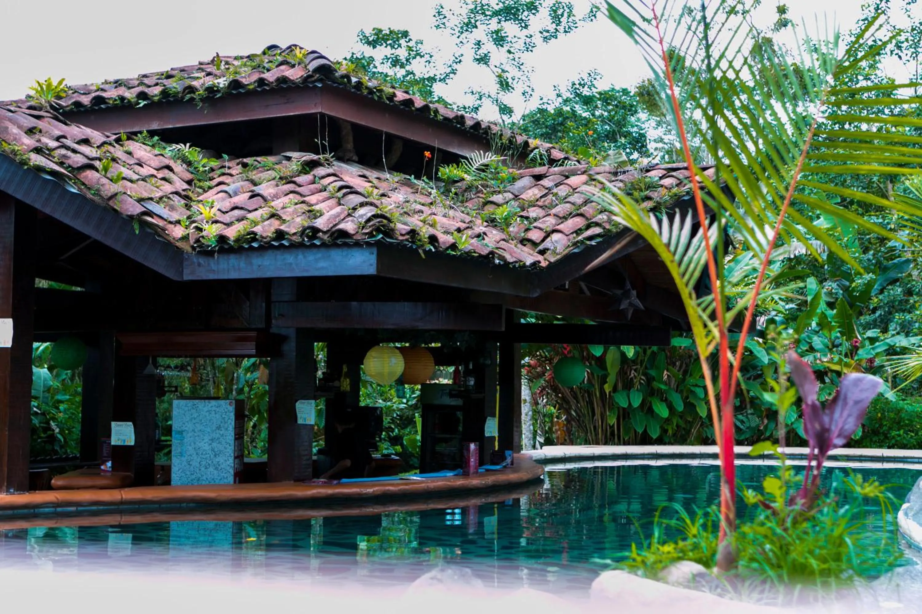 Lounge or bar in Hotel Mountain Paradise