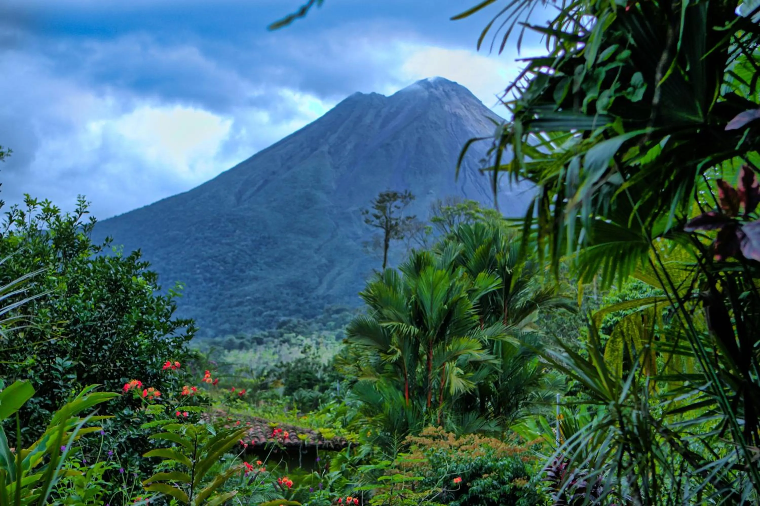 View (from property/room) in Hotel Mountain Paradise