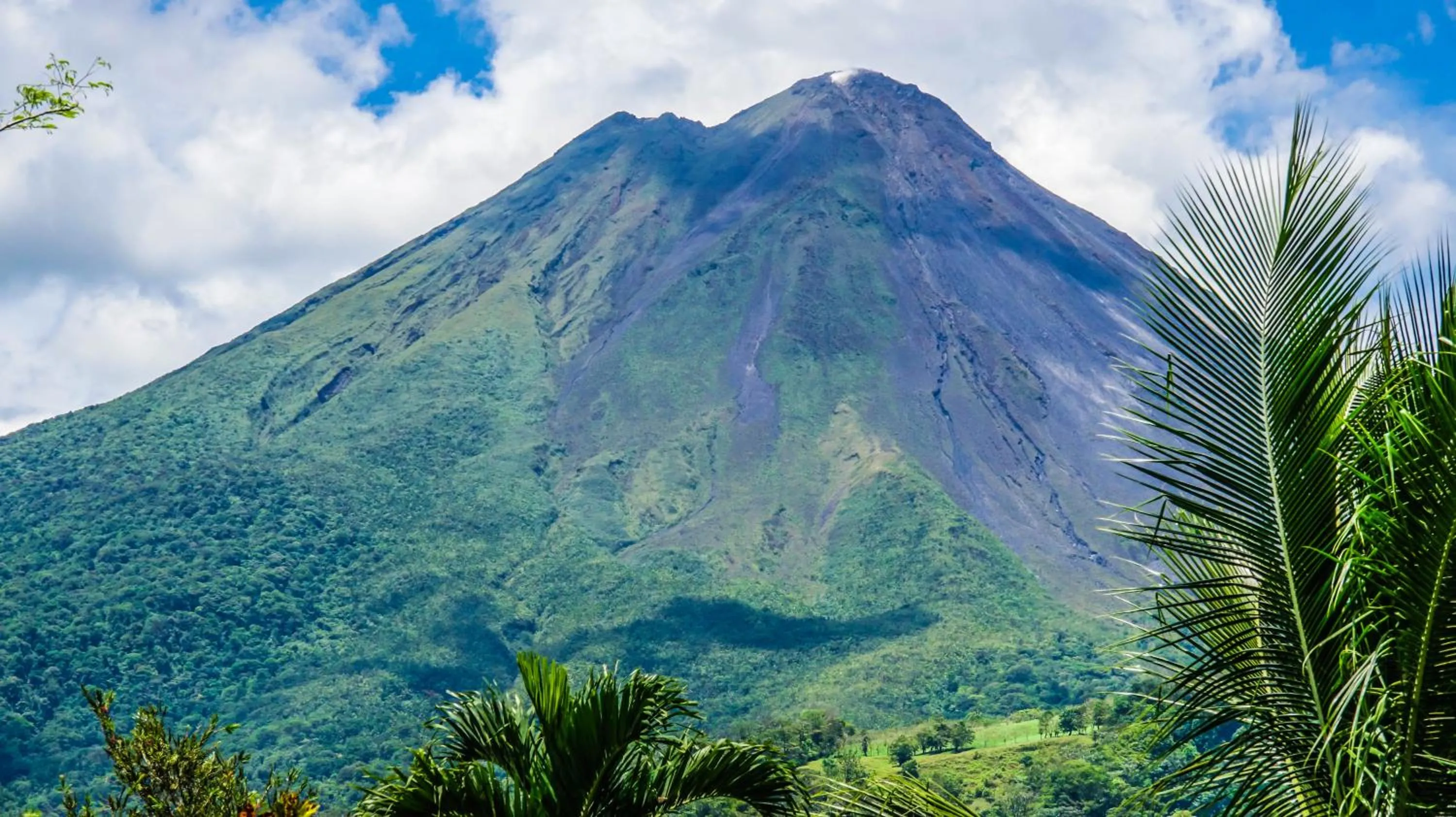 View (from property/room) in Hotel Mountain Paradise