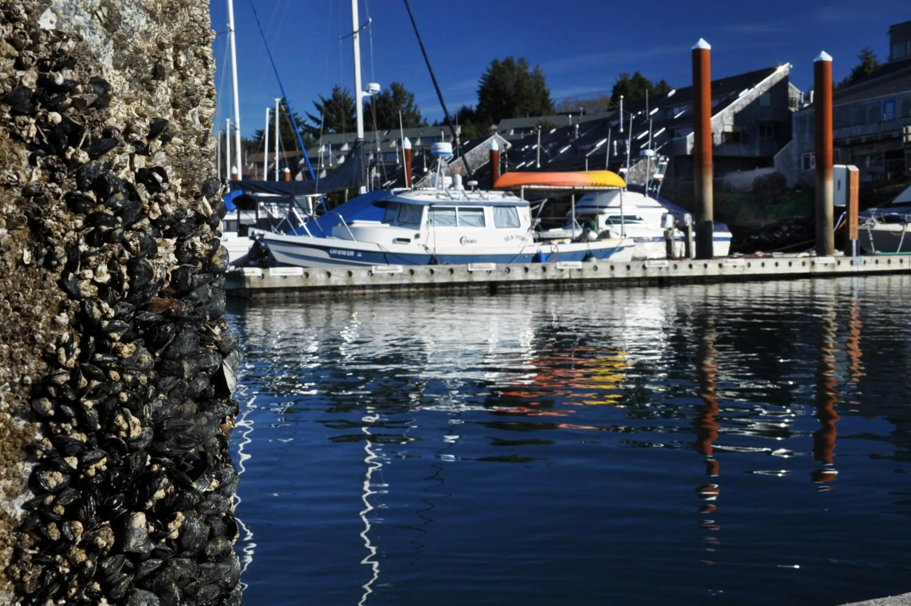 Activities in Embarcadero Resort