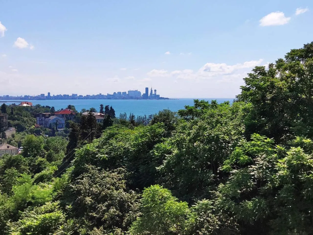 Natural landscape in Green Line