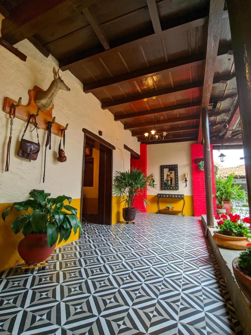 Patio in Casa Vieja