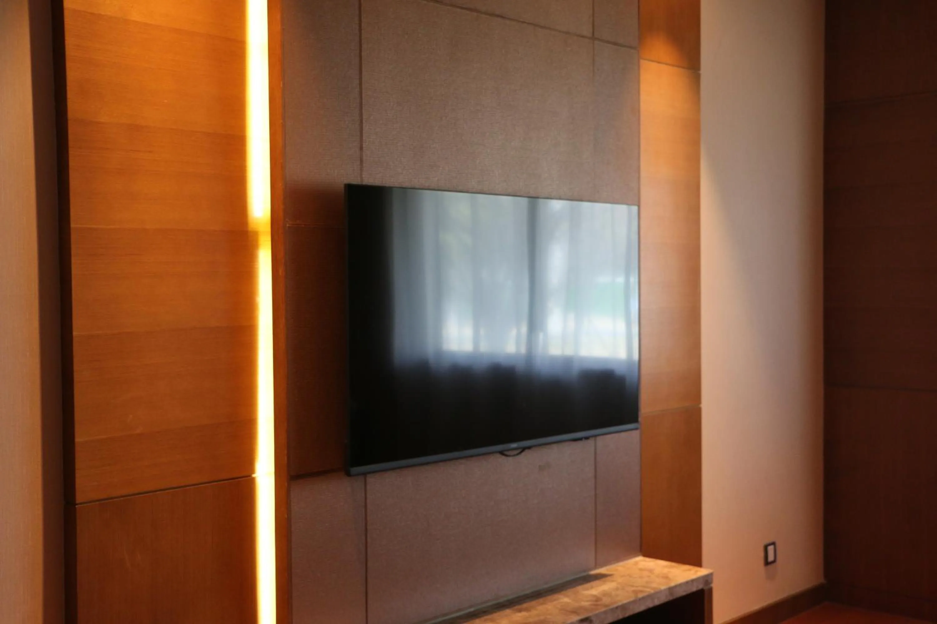 TV and multimedia in DoubleTree By Hilton Jiaxing