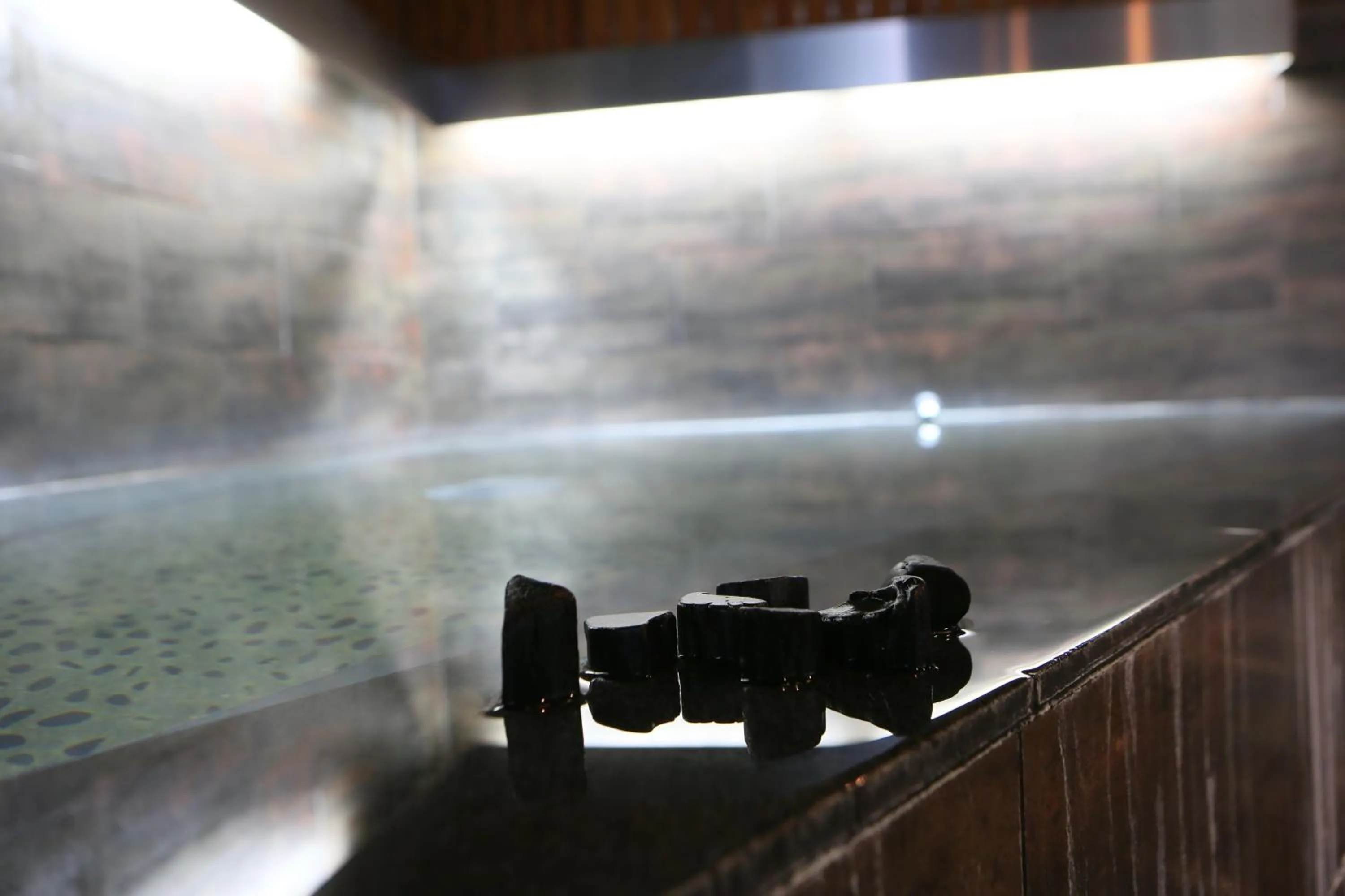 Public Bath in Hotel Wing International Sagamihara