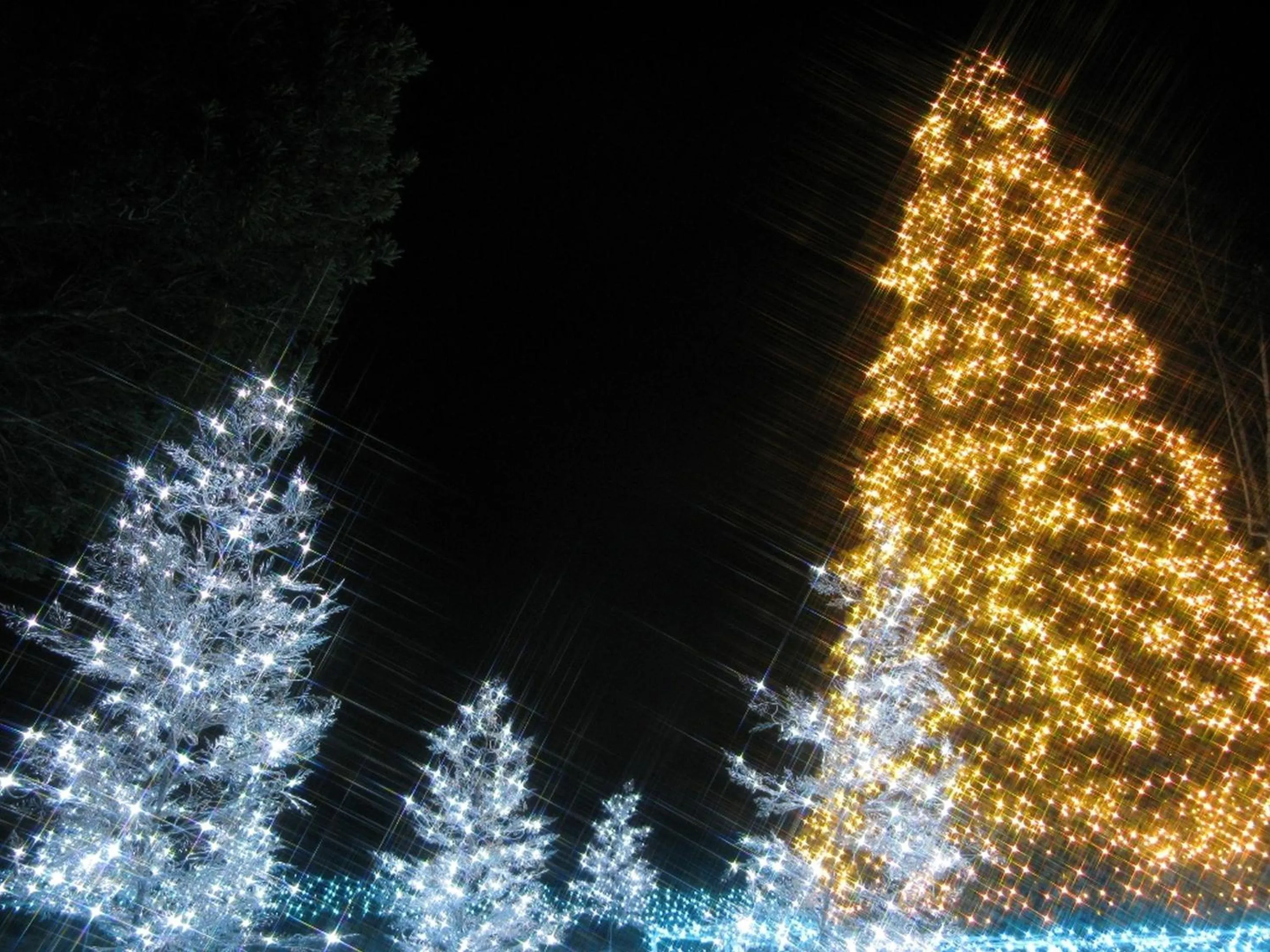 Activities in Hotel Wing International Sagamihara