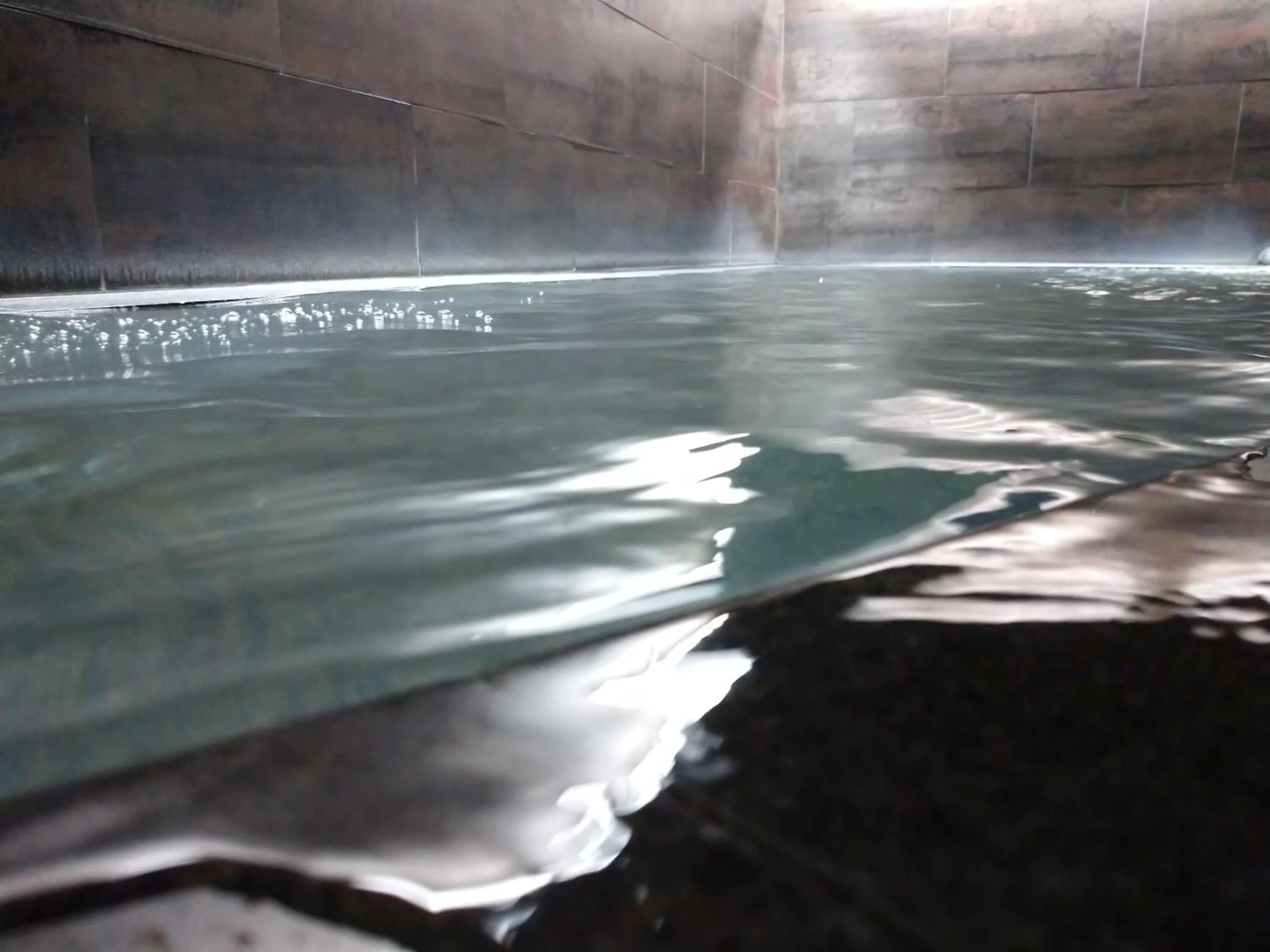 Public Bath in Hotel Wing International Sagamihara