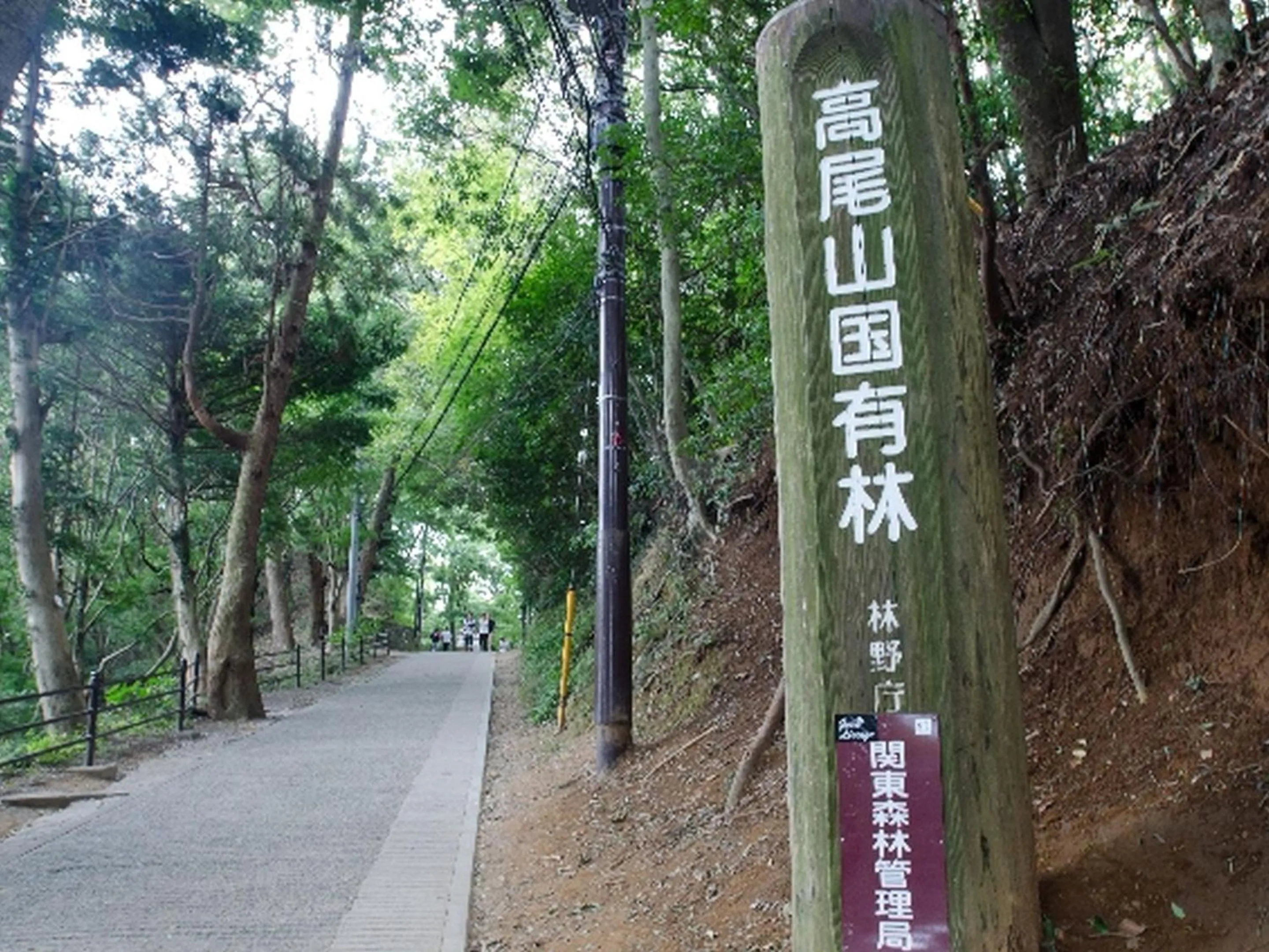 Activities in Hotel Wing International Sagamihara