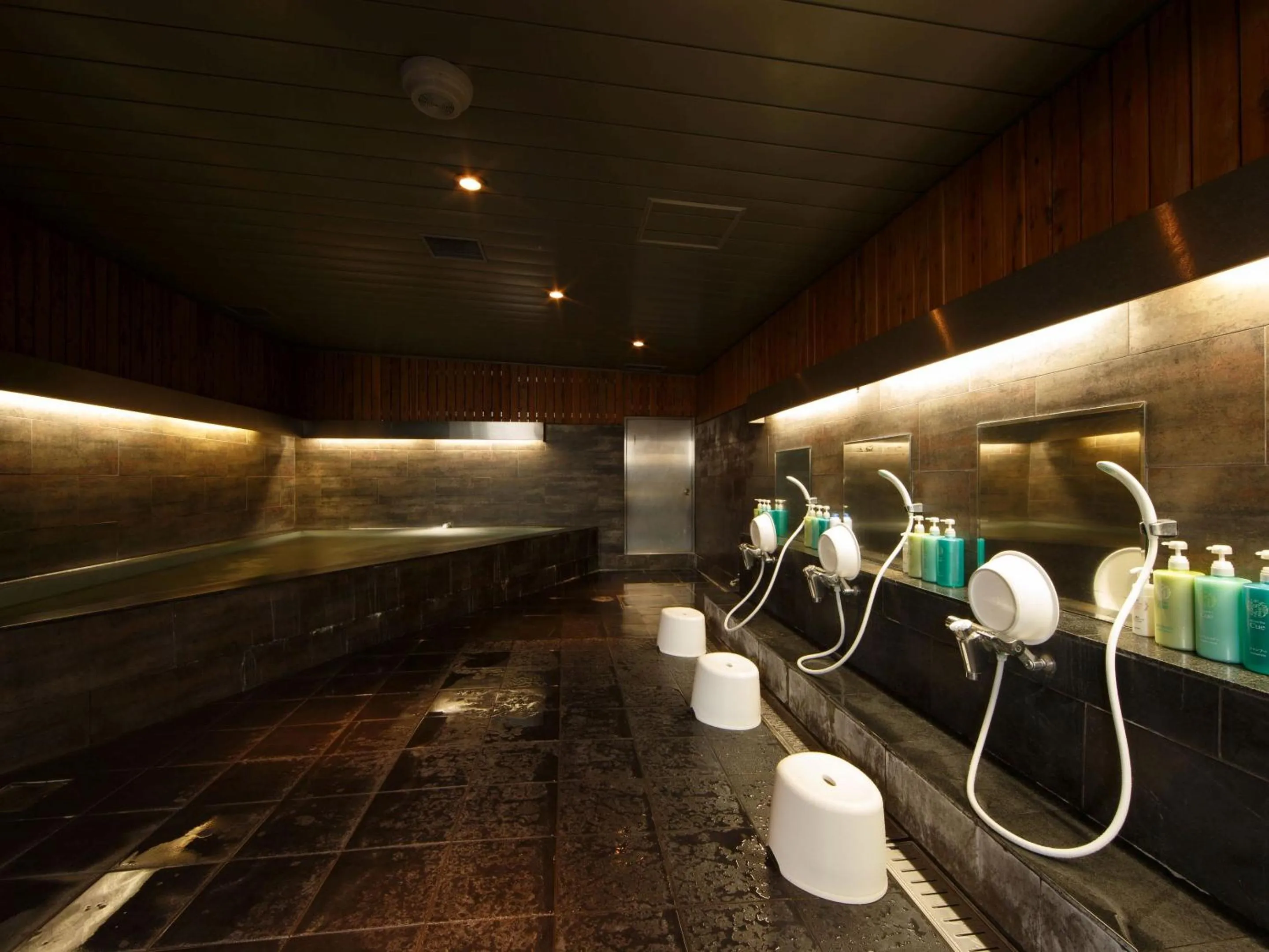 Public Bath in Hotel Wing International Sagamihara