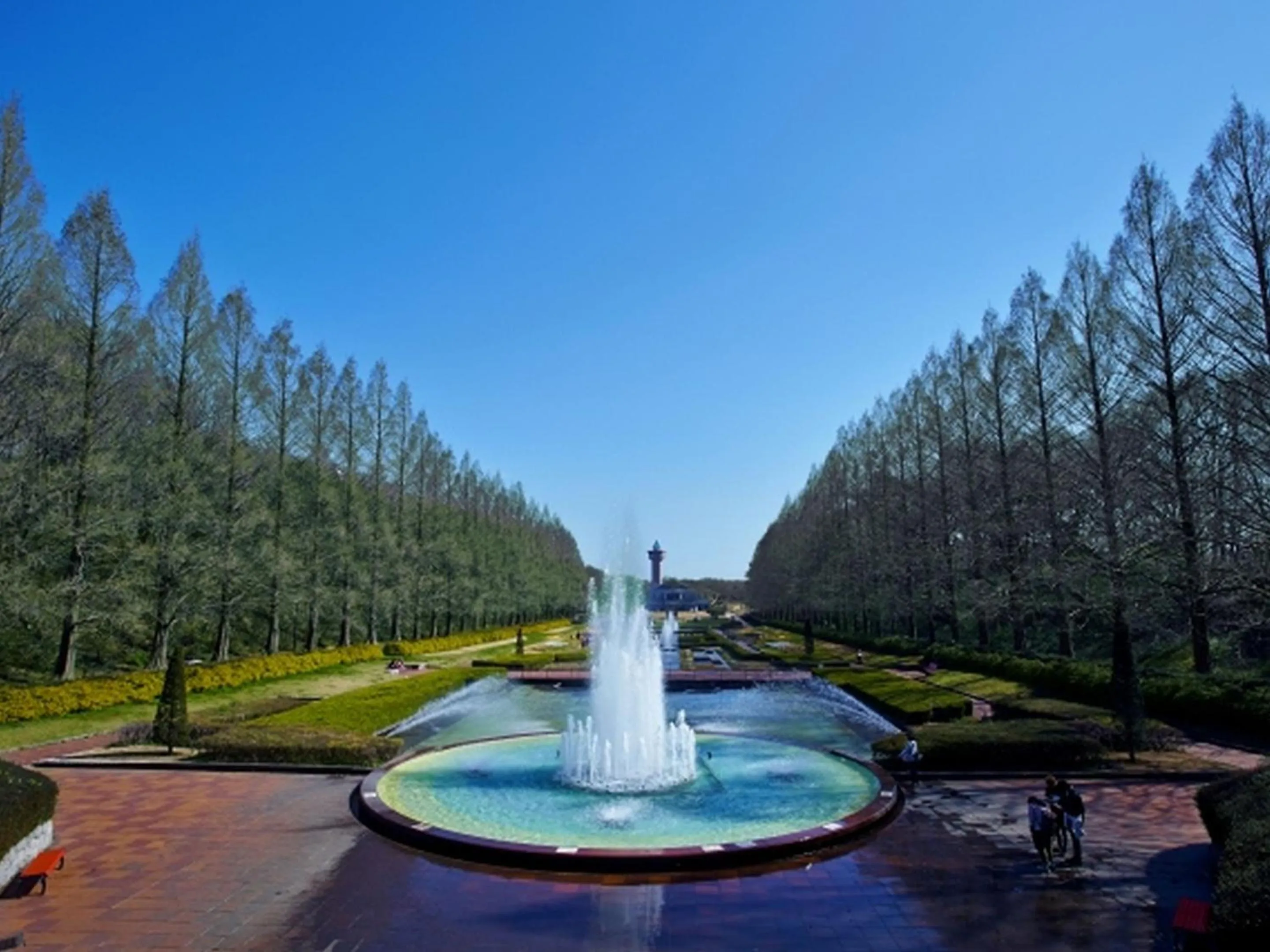 Activities in Hotel Wing International Sagamihara