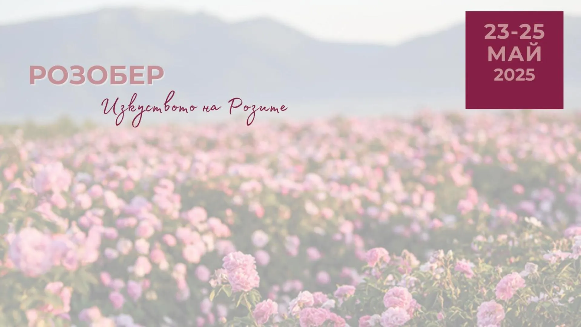 Property building in Chateau Copsa Complex