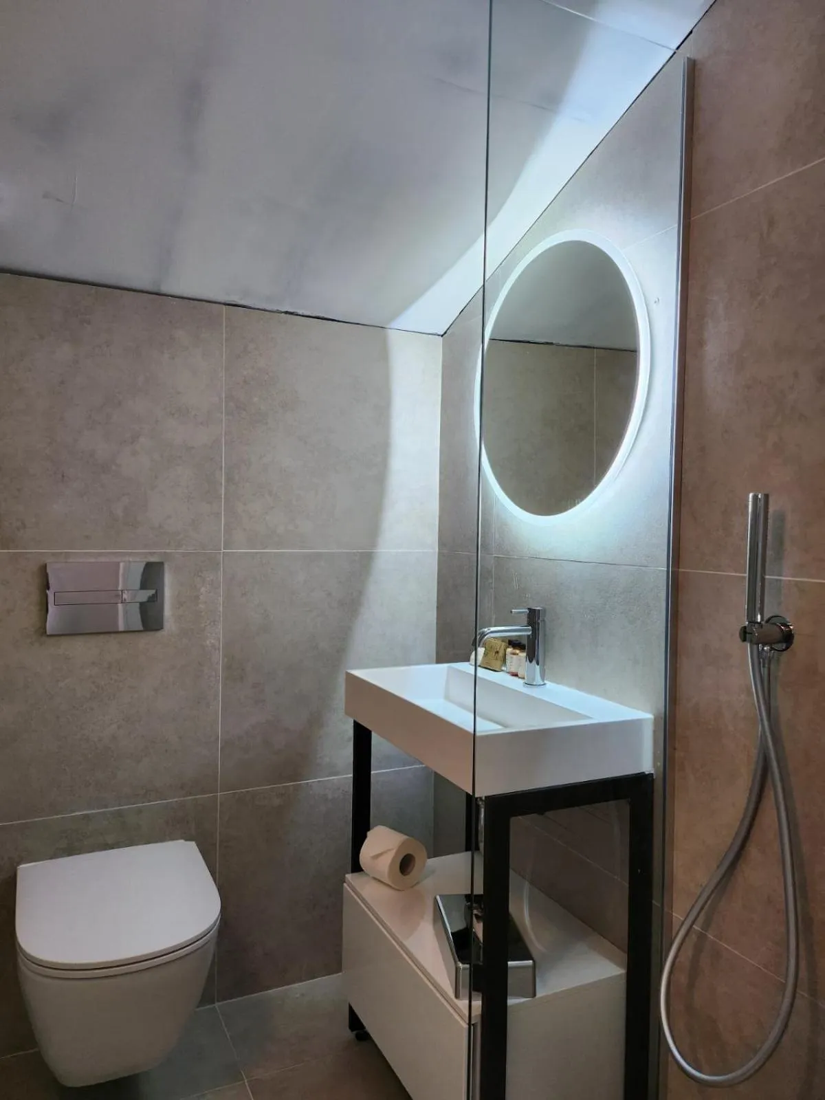 Bathroom in Chateau Copsa Complex