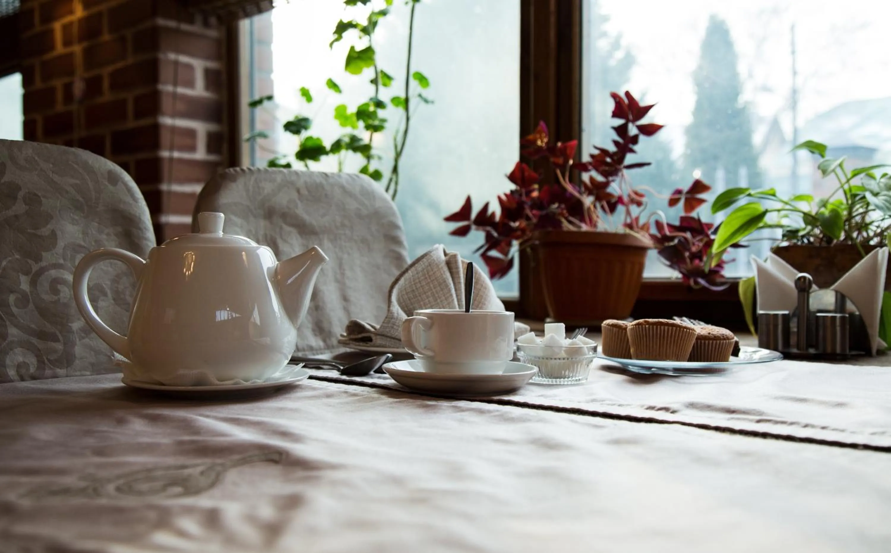 Restaurant/places to eat in Alpinist Hotel