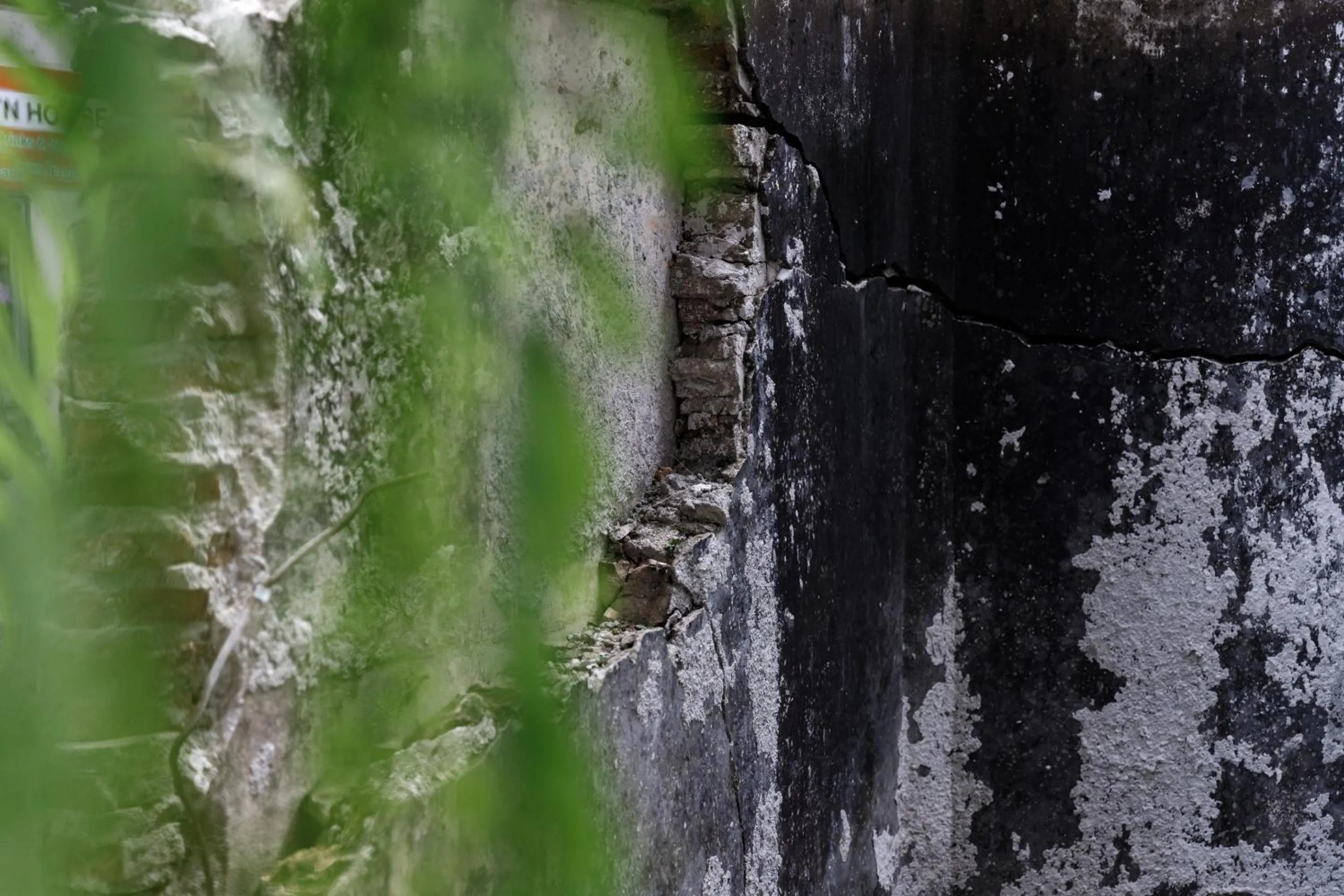 Natural landscape in The Locals Chiang Mai