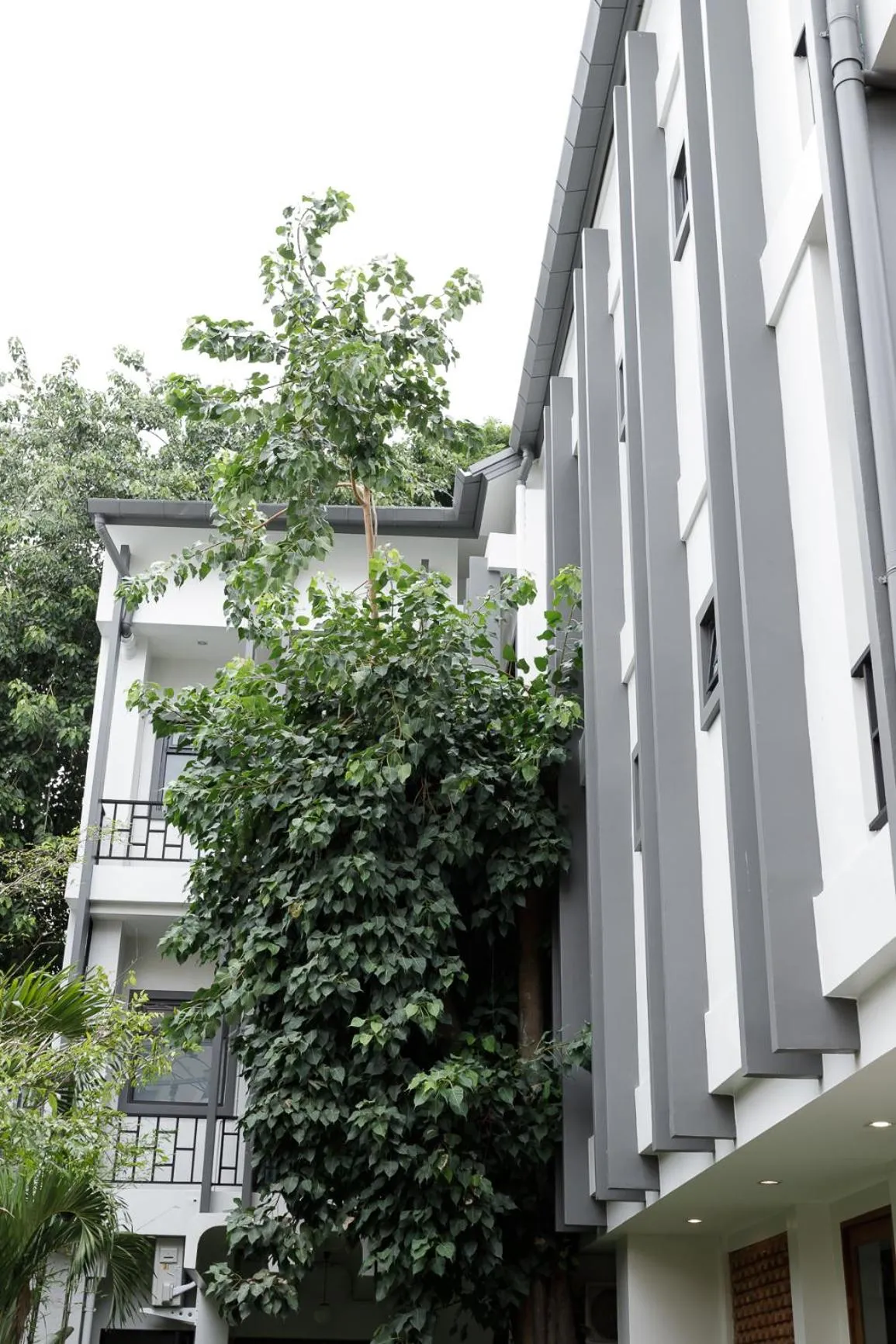 Property building in The Locals Chiang Mai