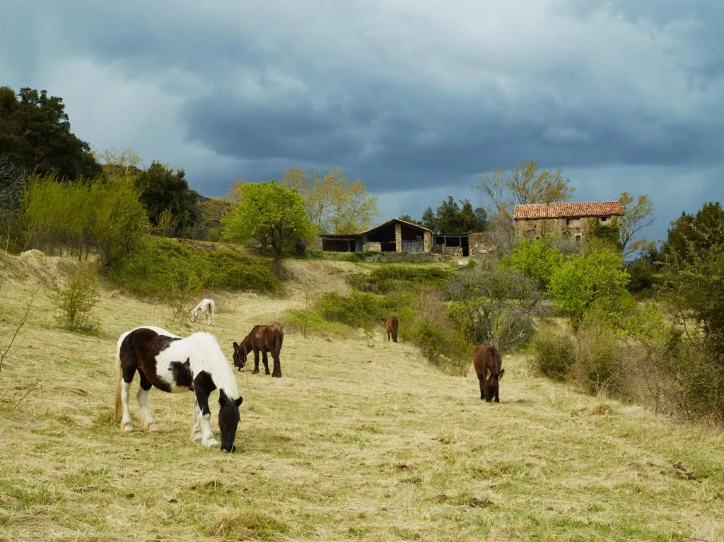 Off site in Fonda Finet