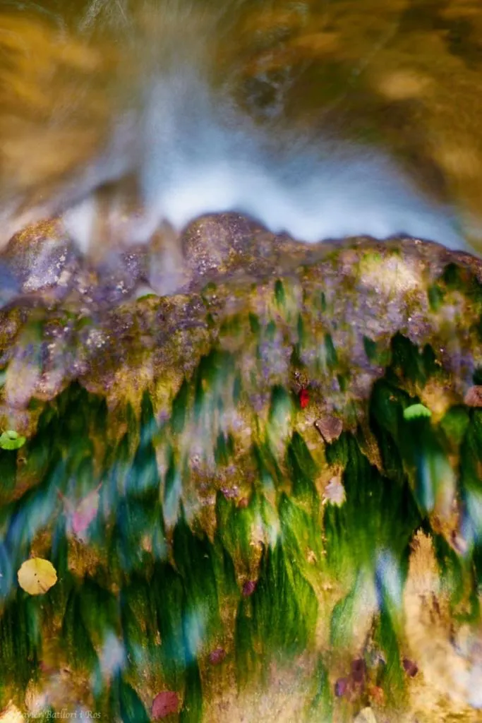 Natural landscape in Fonda Finet