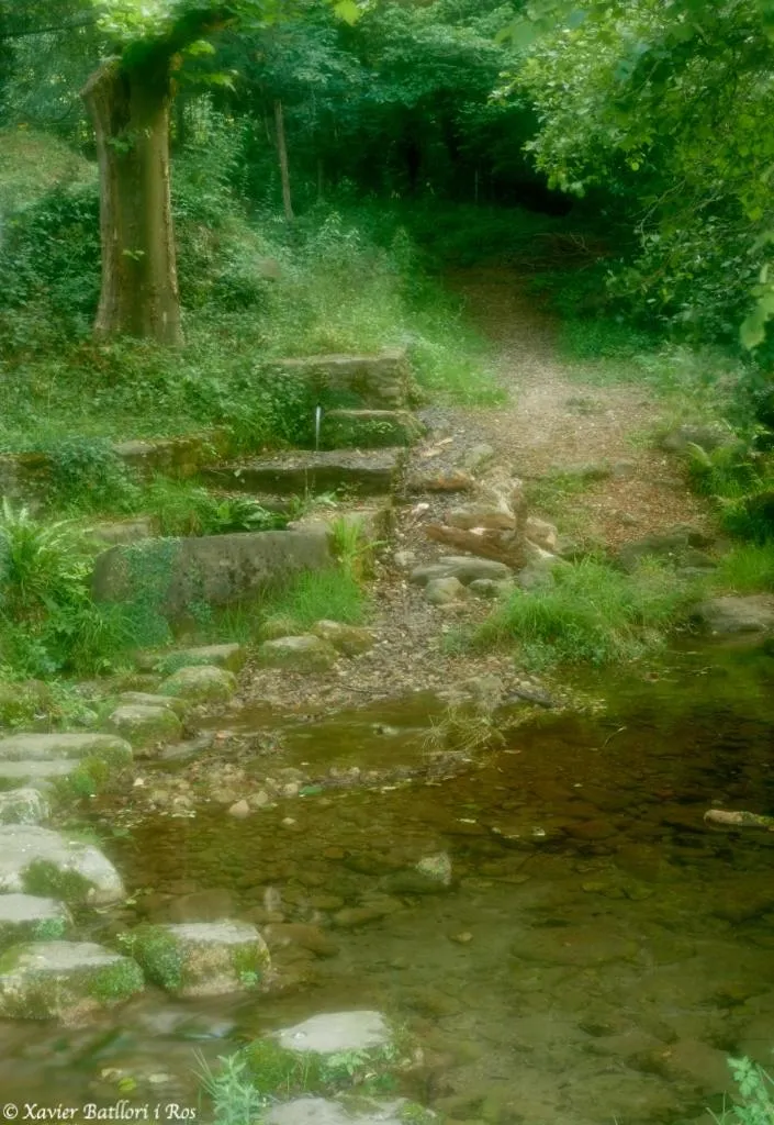 Natural landscape in Fonda Finet