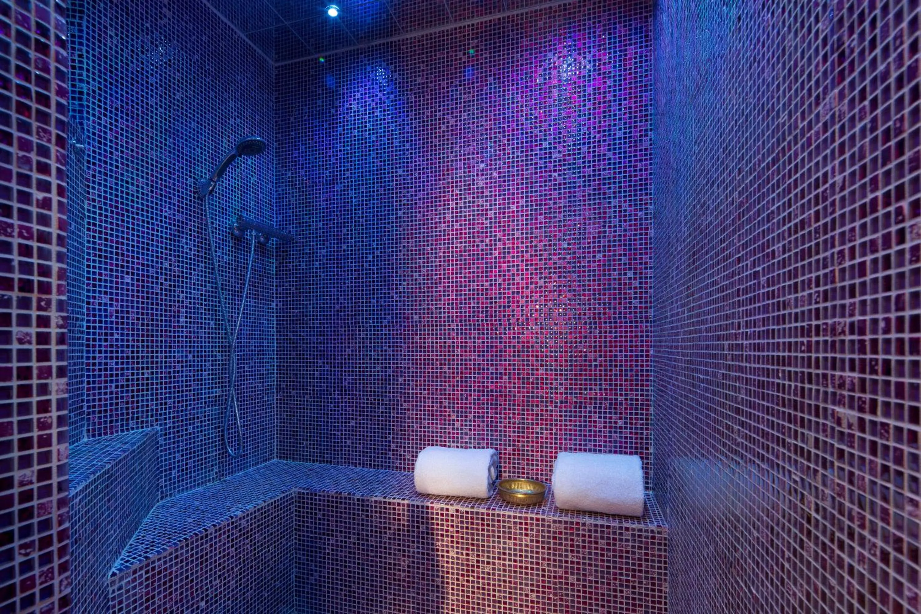Steam room in Hotel & Spa de Latour Maubourg