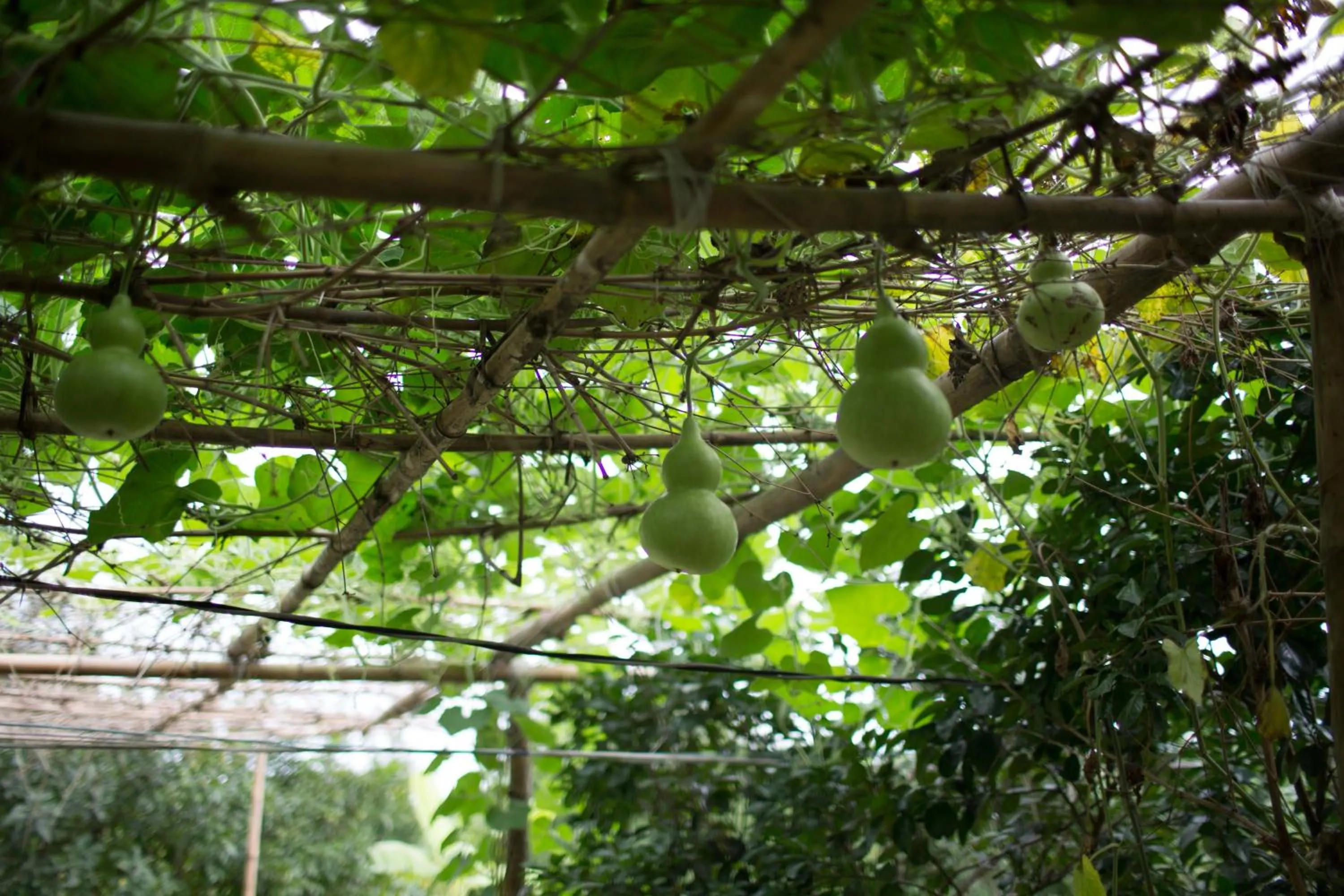 Garden in Hue Riverside Boutique Resort & Spa