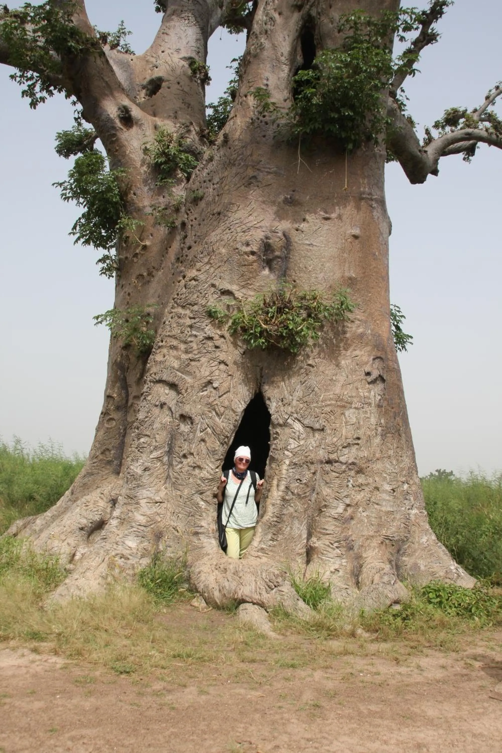 Area and facilities in Africa 6 Plage