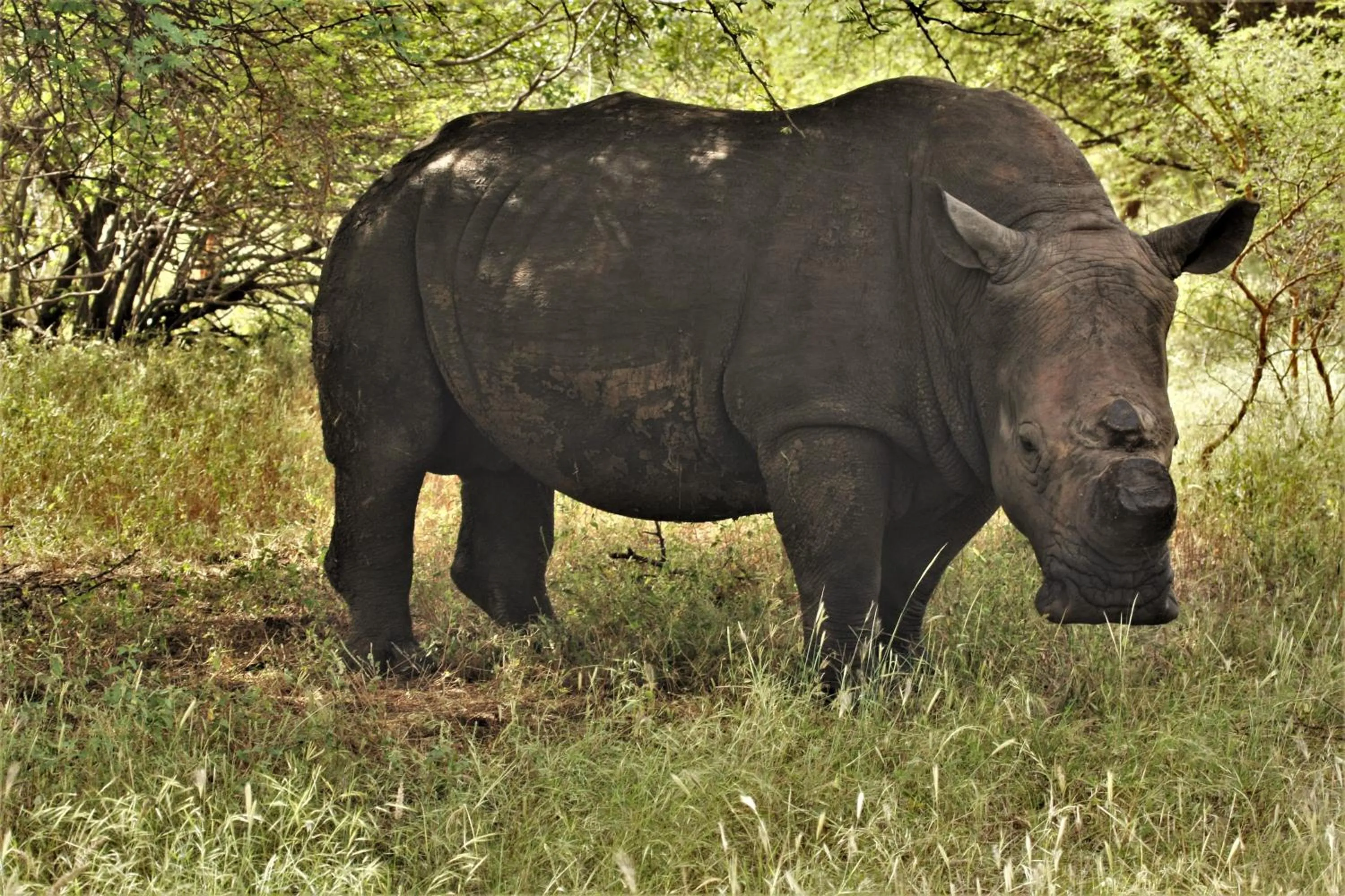 Nearby landmark in Africa 6 Plage