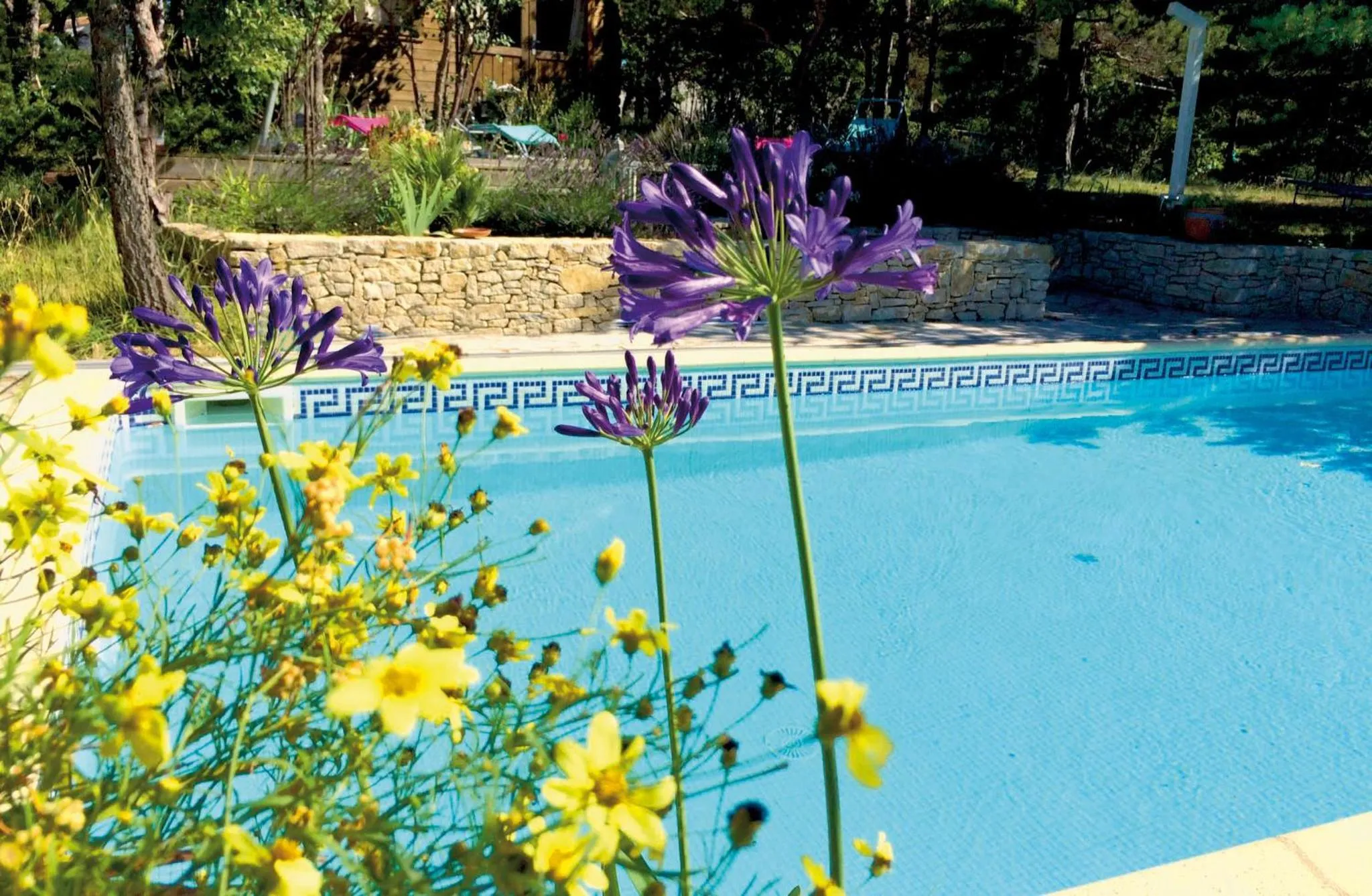 Swimming pool in Le Mapillon