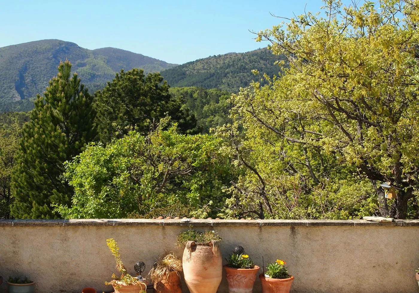 View (from property/room) in Le Mapillon