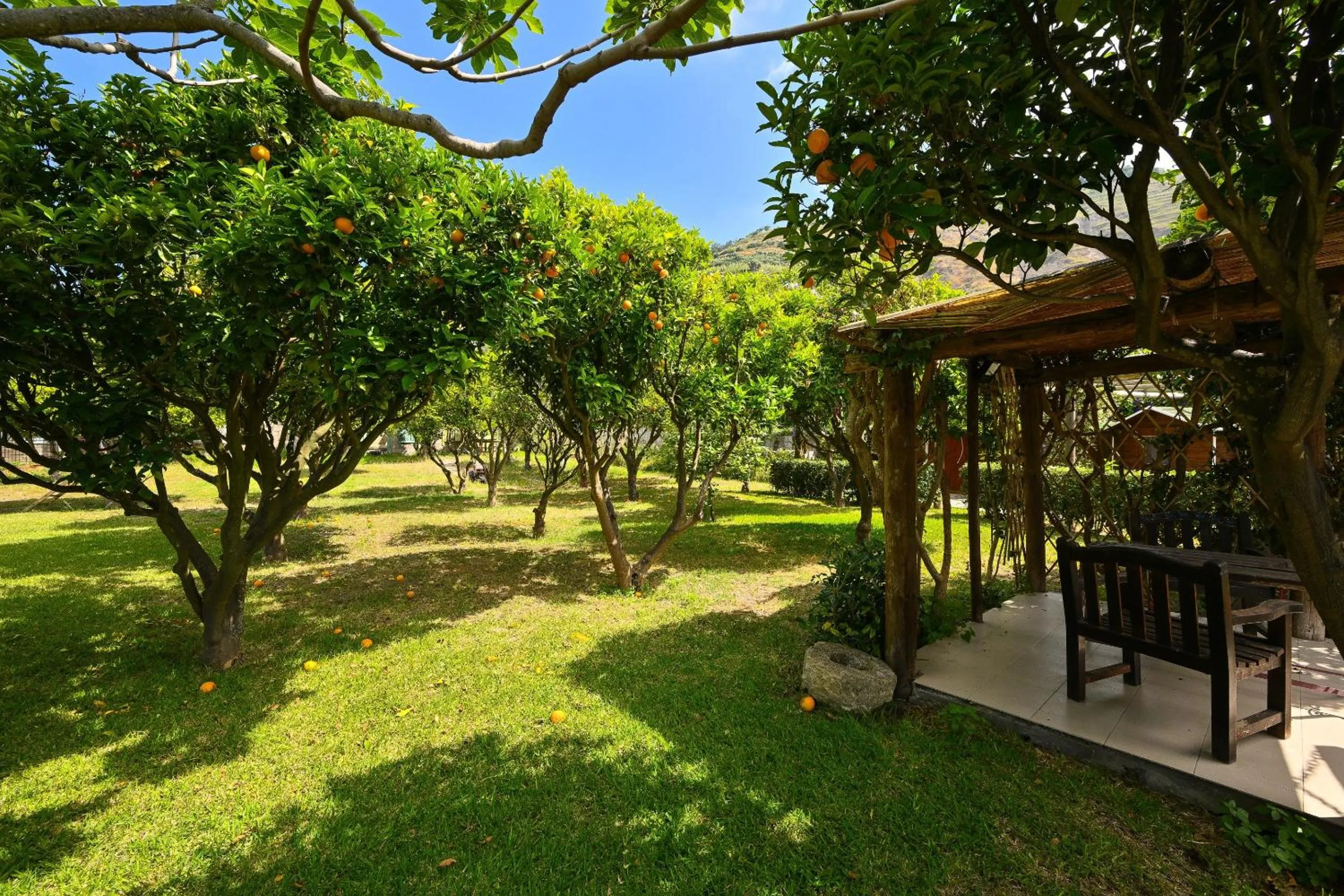 Property building in Tenuta Villa Tara