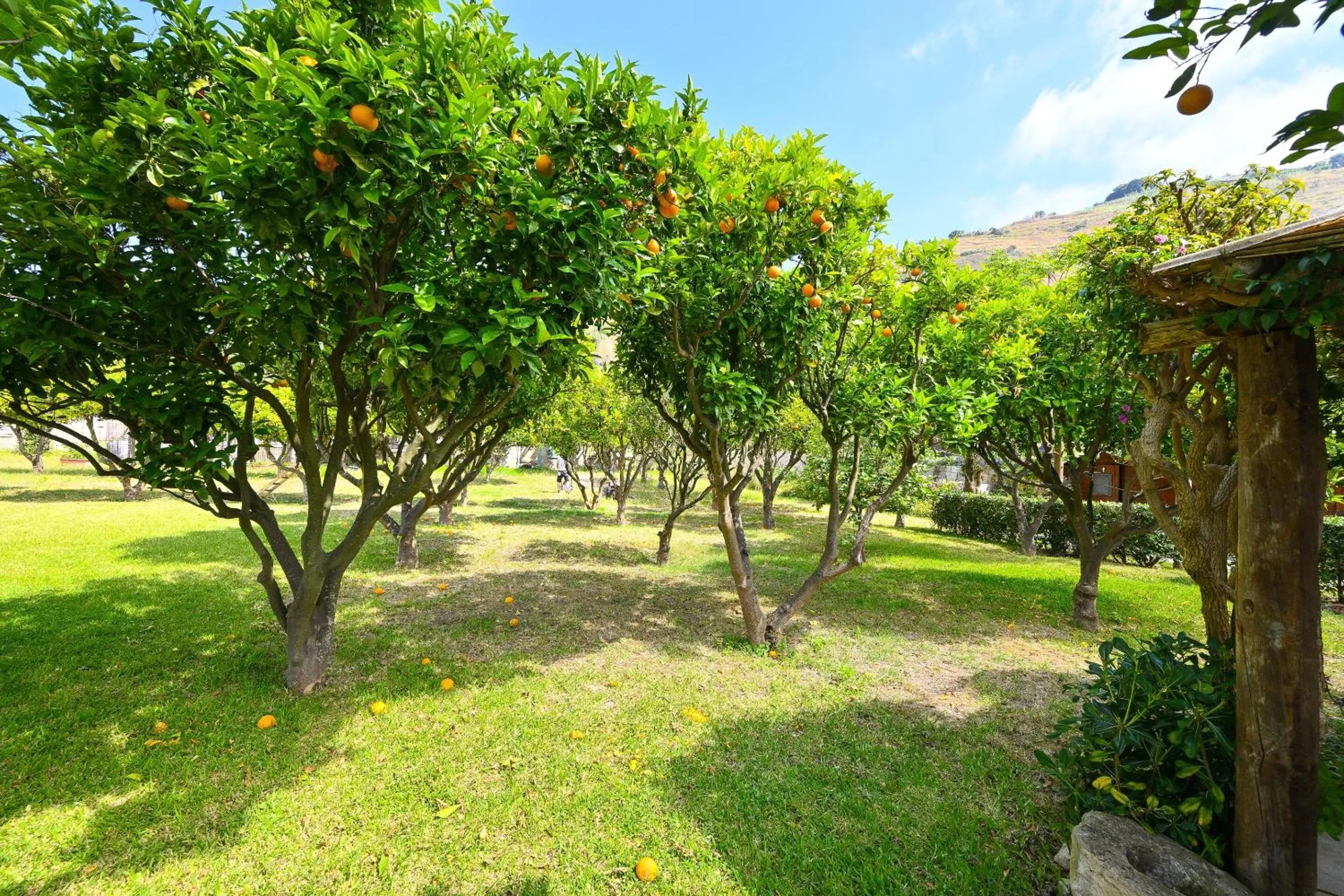 Property building in Tenuta Villa Tara