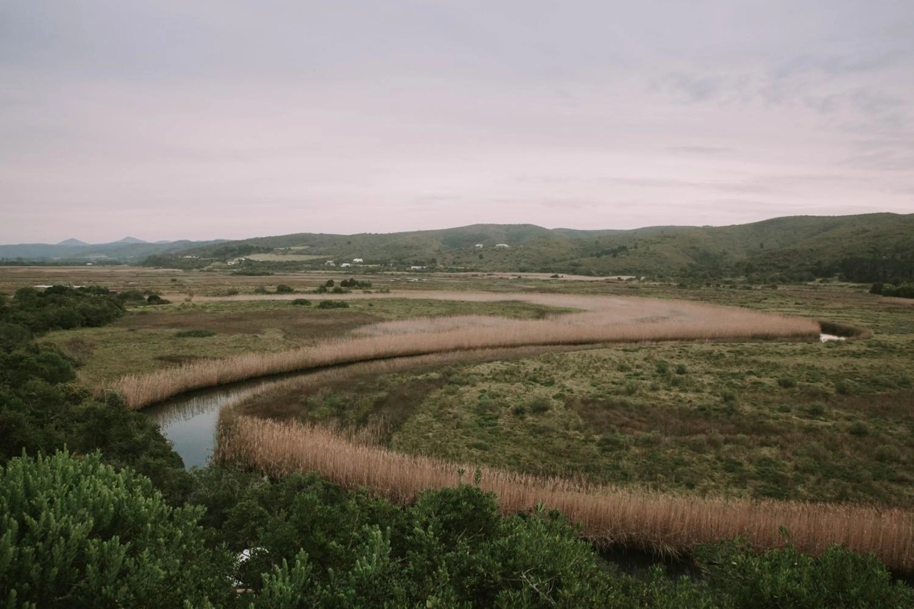 Natural landscape in Emily Moon River Lodge