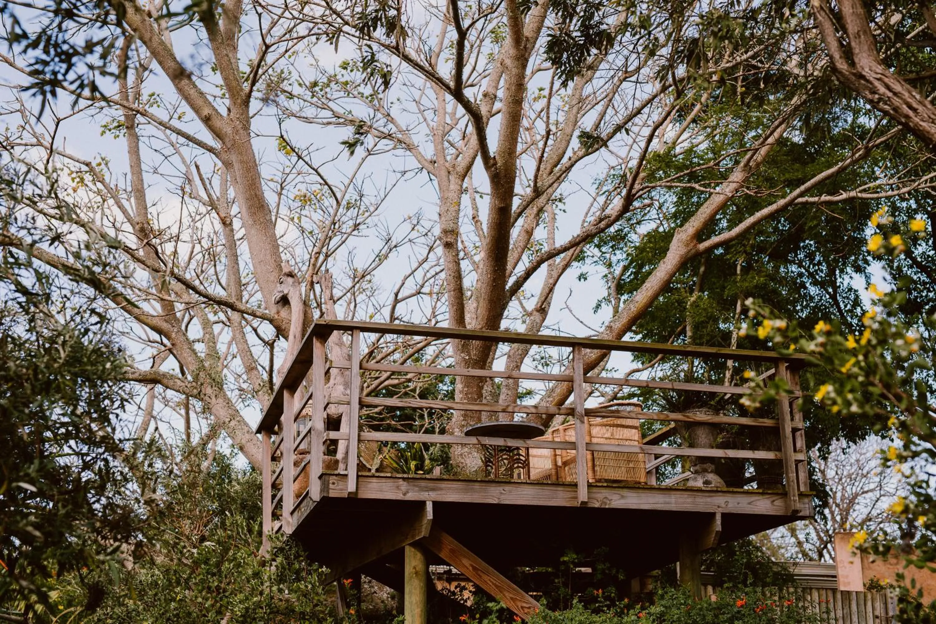 Emily Moon River Lodge